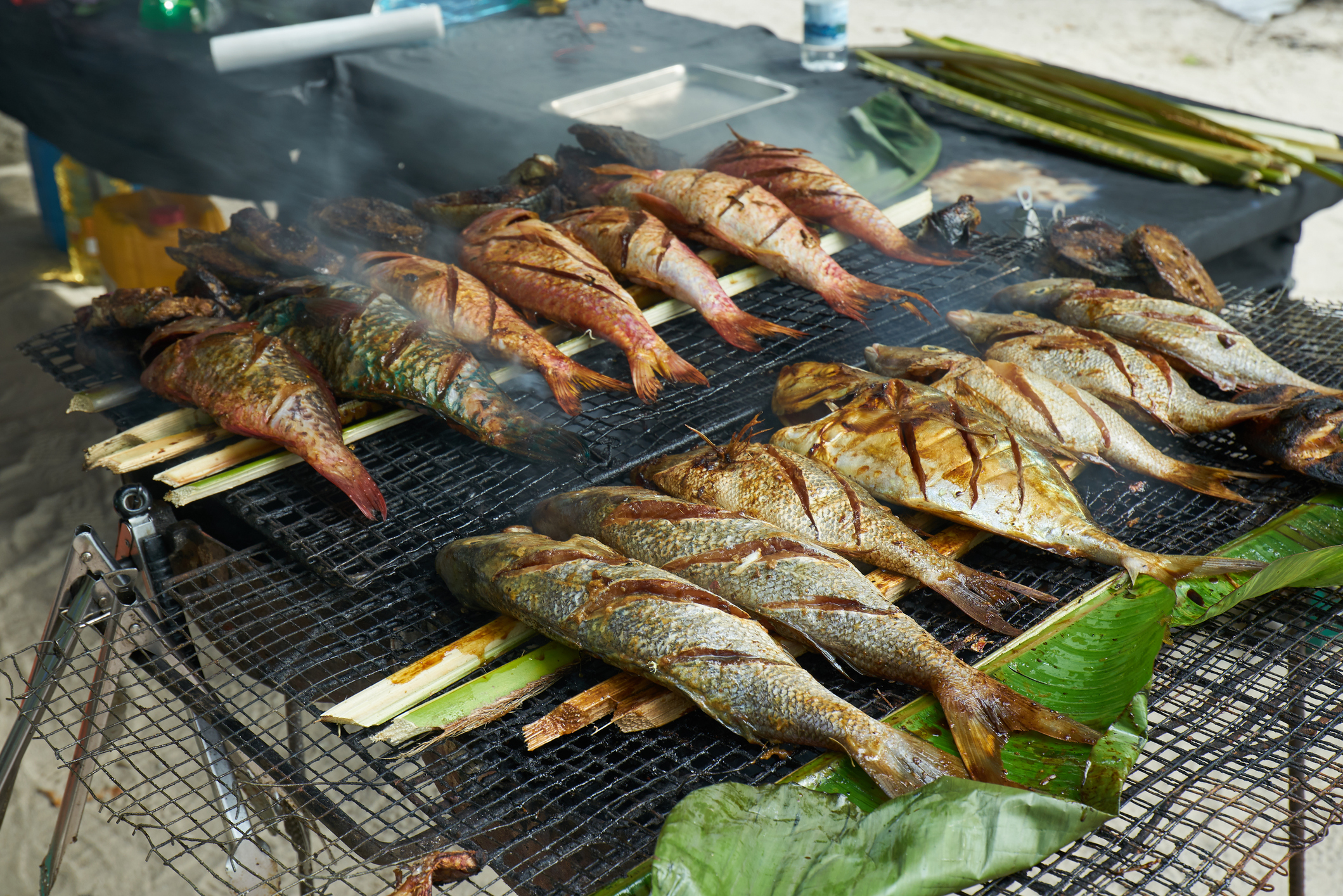 Grilled fish on a charcoal grill, with smoke rising, surrounded by green leaves and a beach setting in the background.
