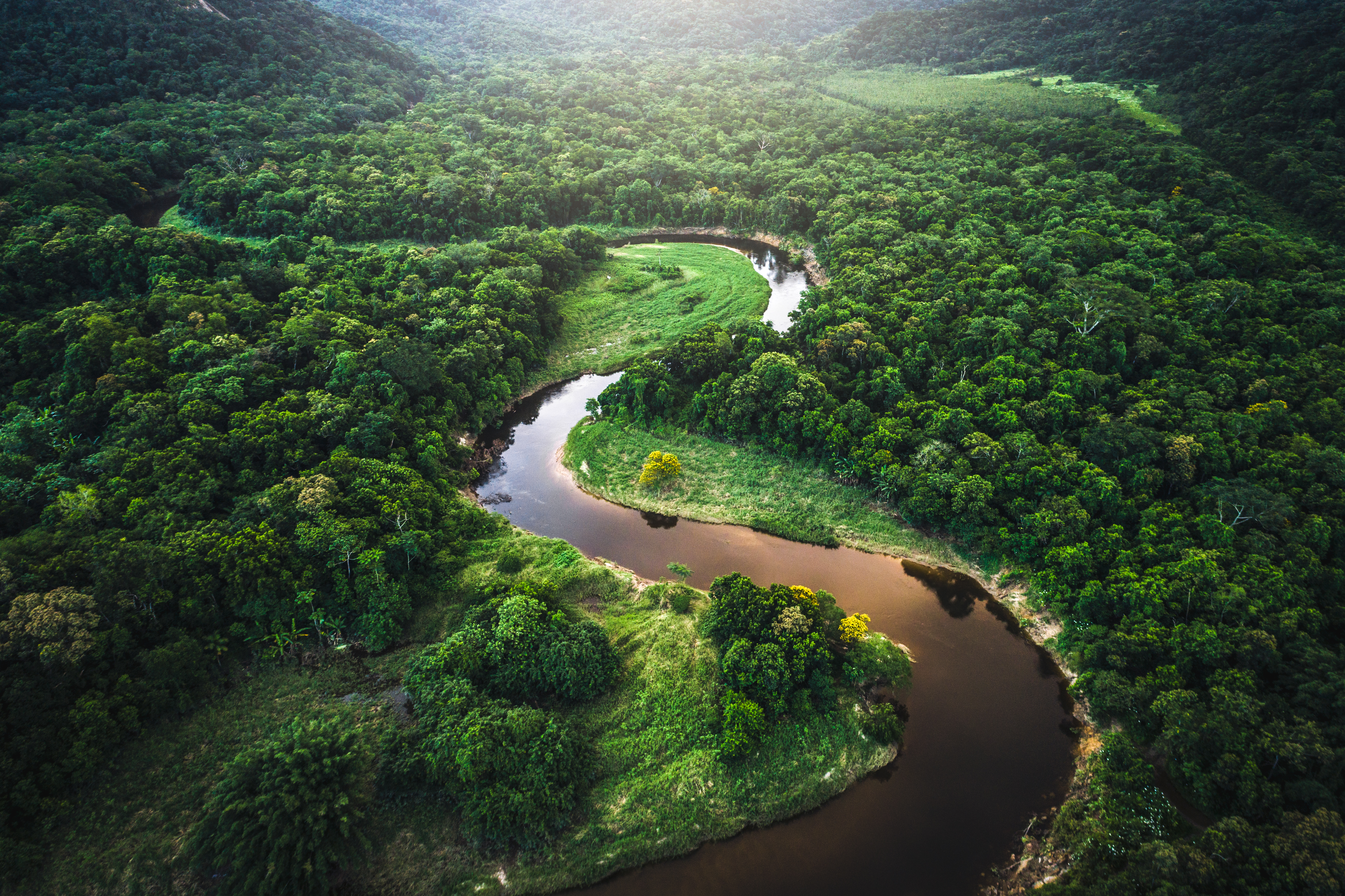 Aerial view over the treetops of the famous amazon rainforest