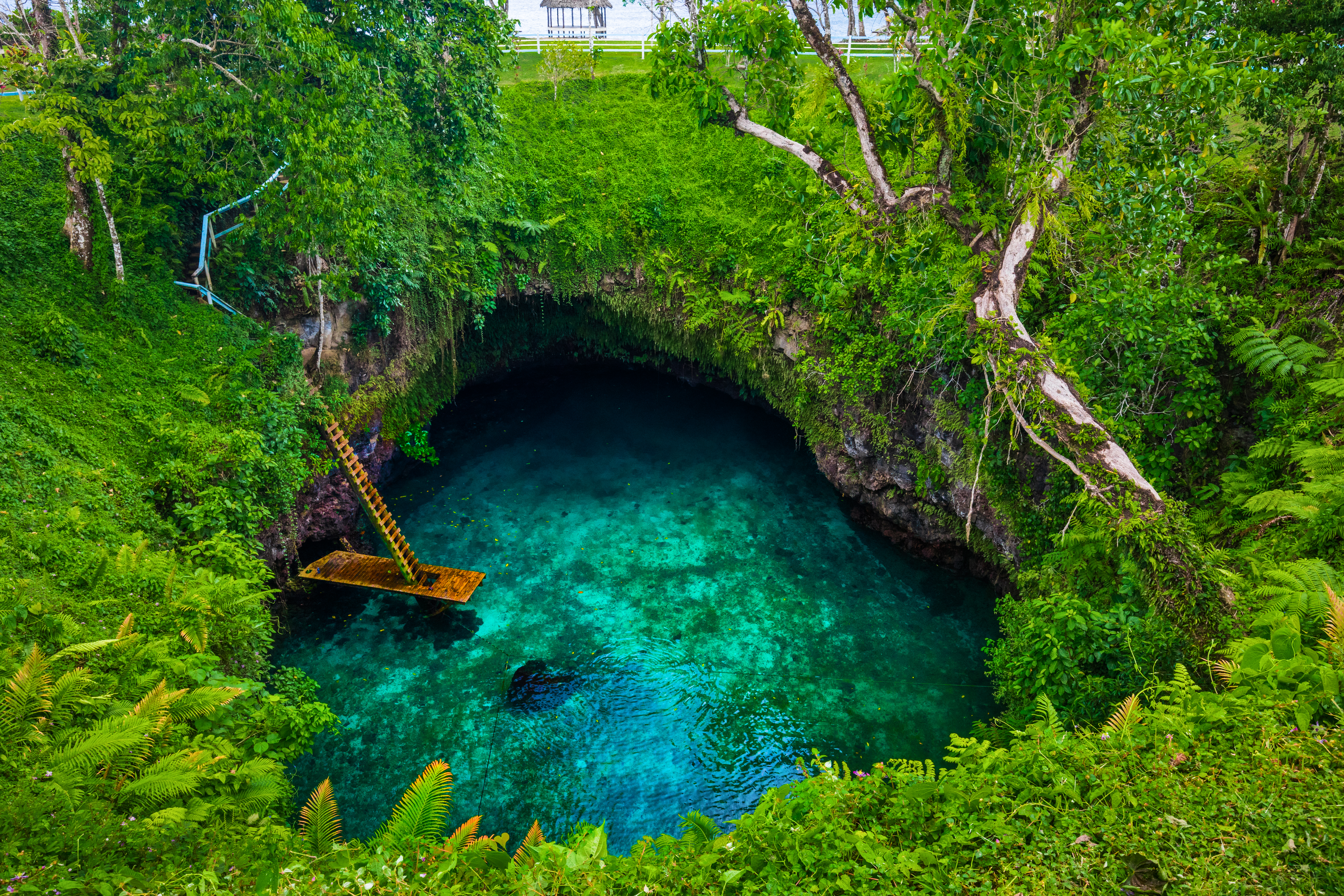 Famous swimming hole surrounded by lush forest