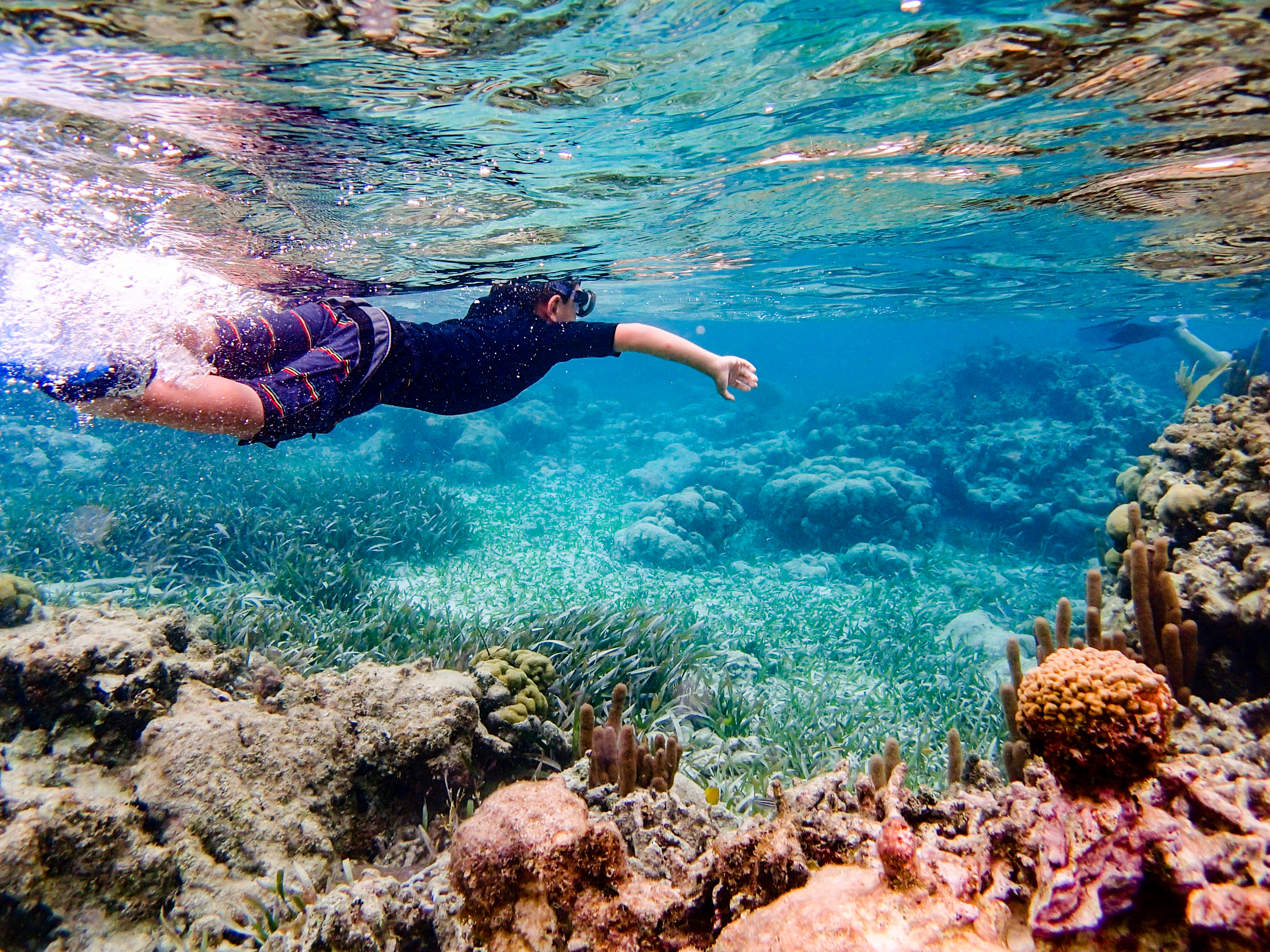 Underwater image of snorkeling through coral reef near Ambergris Caye, Belize