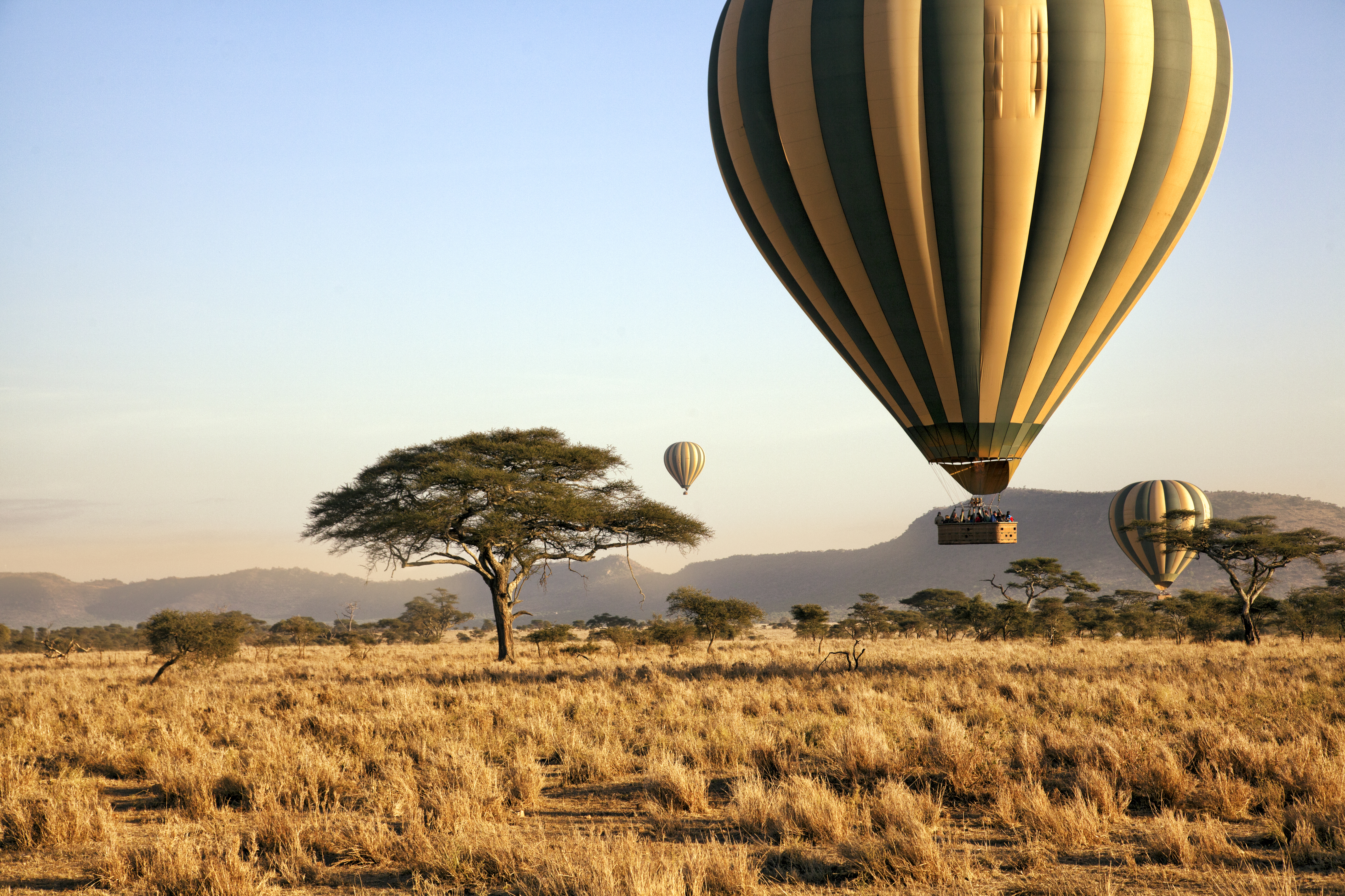 Ballooning over the Serengeti