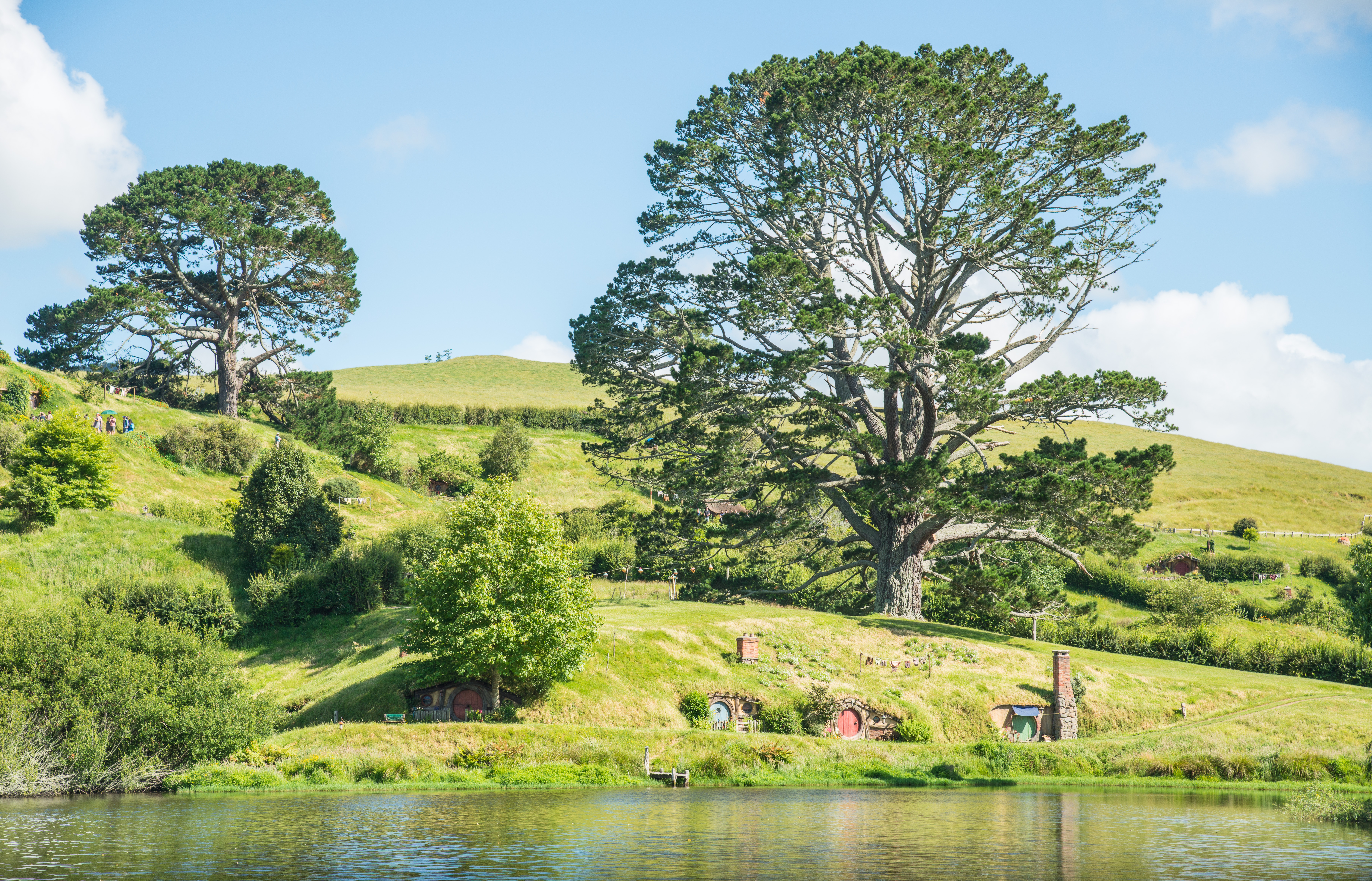 views of hobbit holes and the party tree along a lake