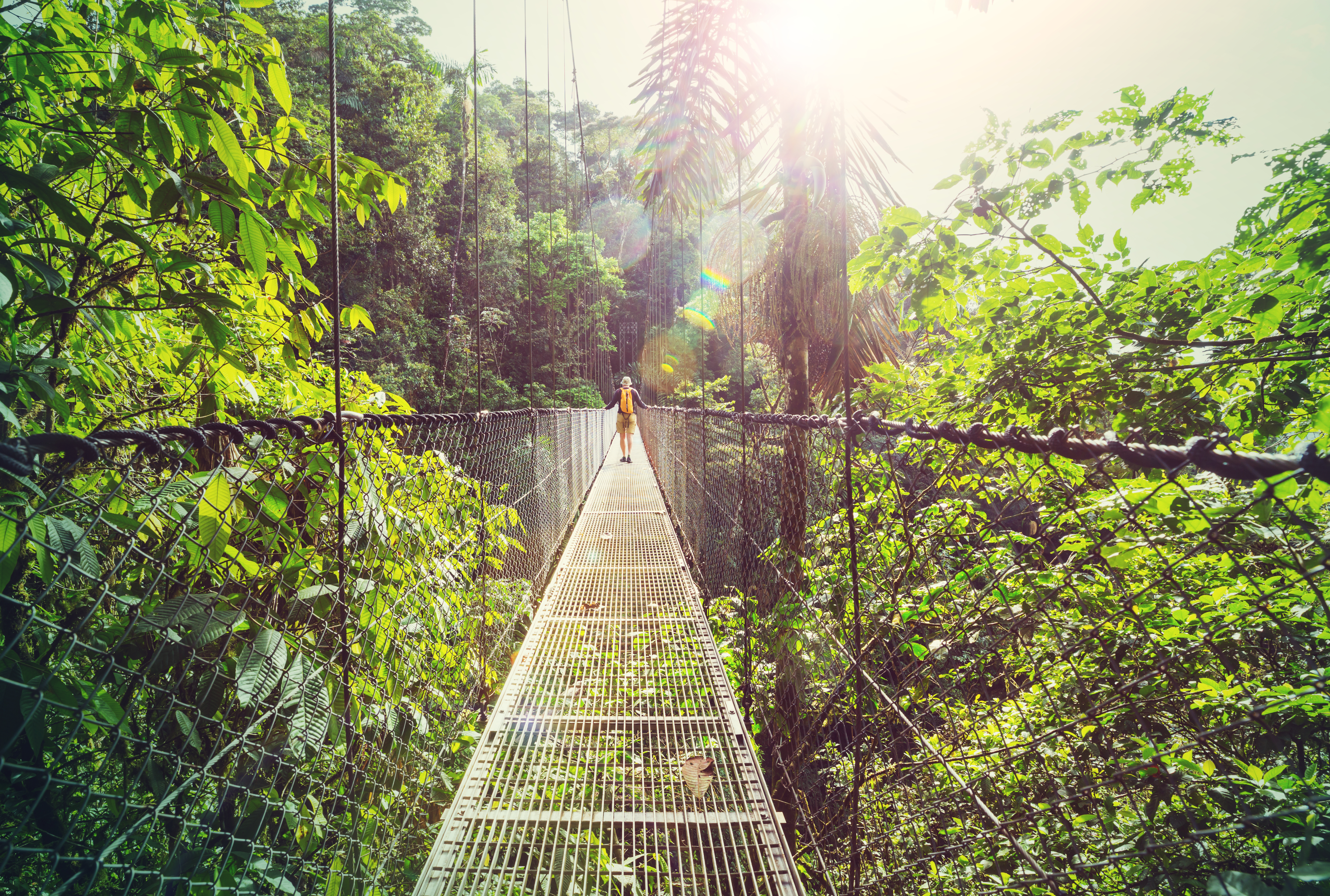 Hiking in green tropical jungle, Costa Rica, Central America