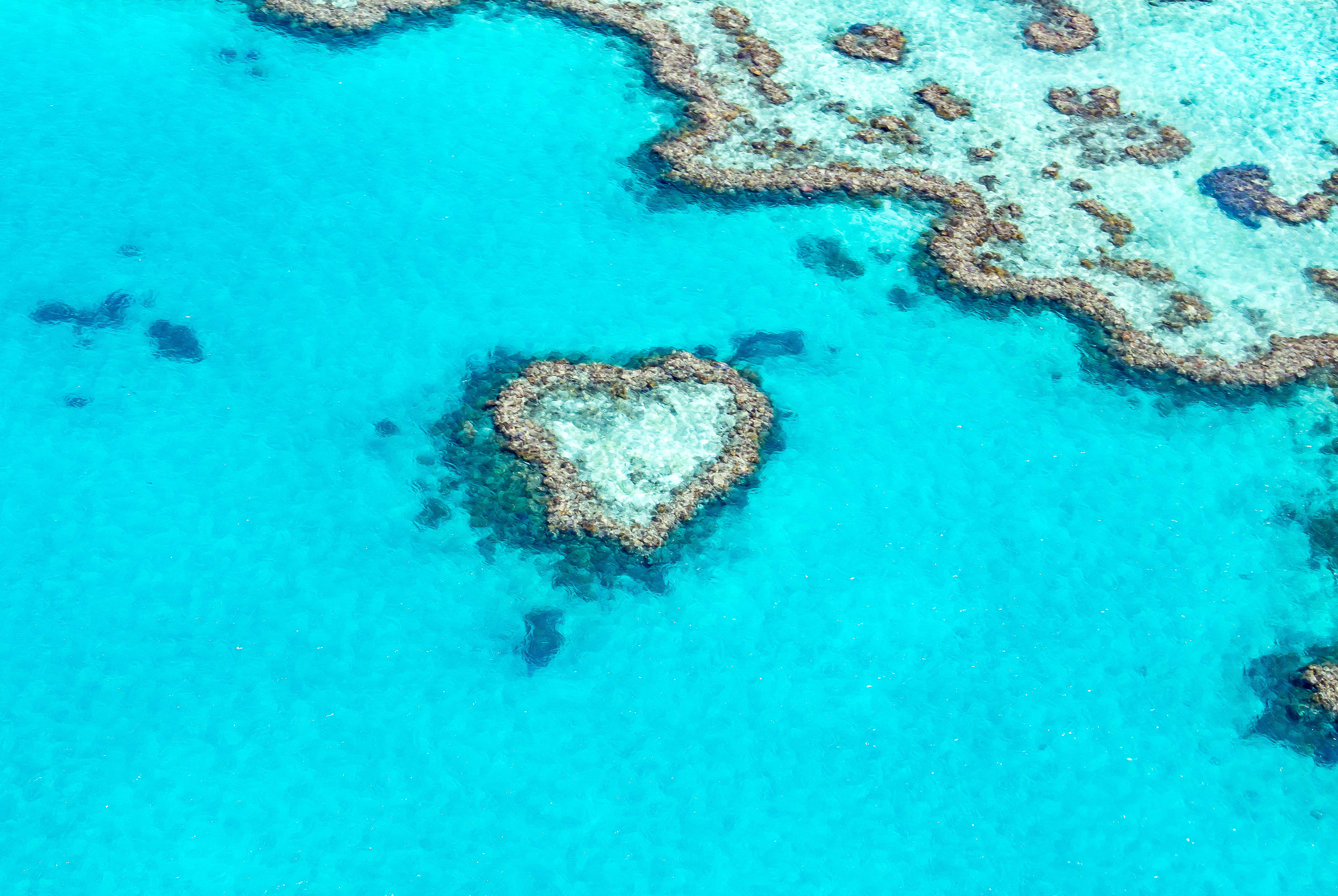 Heart Reef found in the Great Barrier Reef along the turquoise waters of the Whitsunday islands in Queensland Australia.