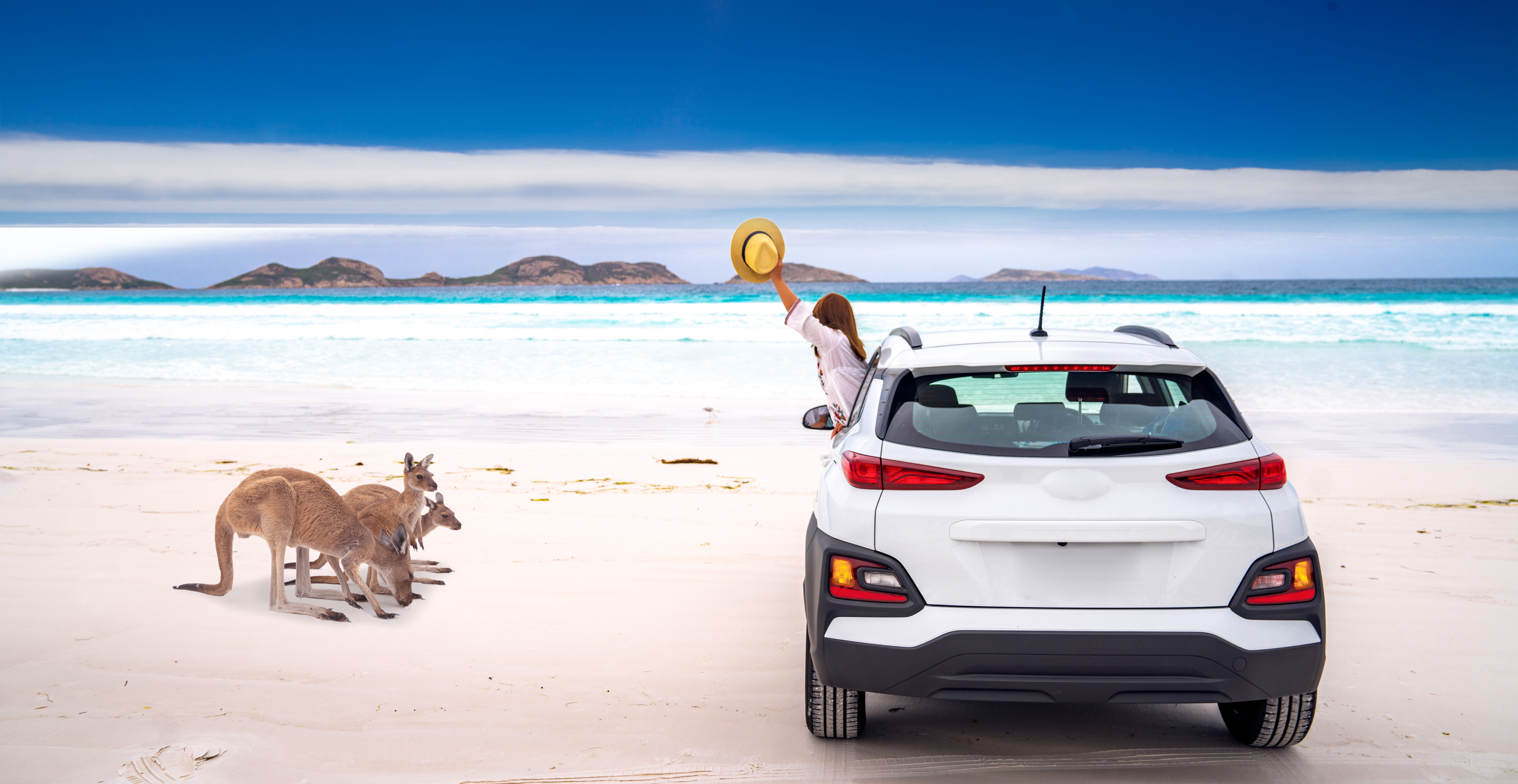 Kangaroo family at Lucky Bay beach in Cape Le Grand National Park near Esperance, Western Australia