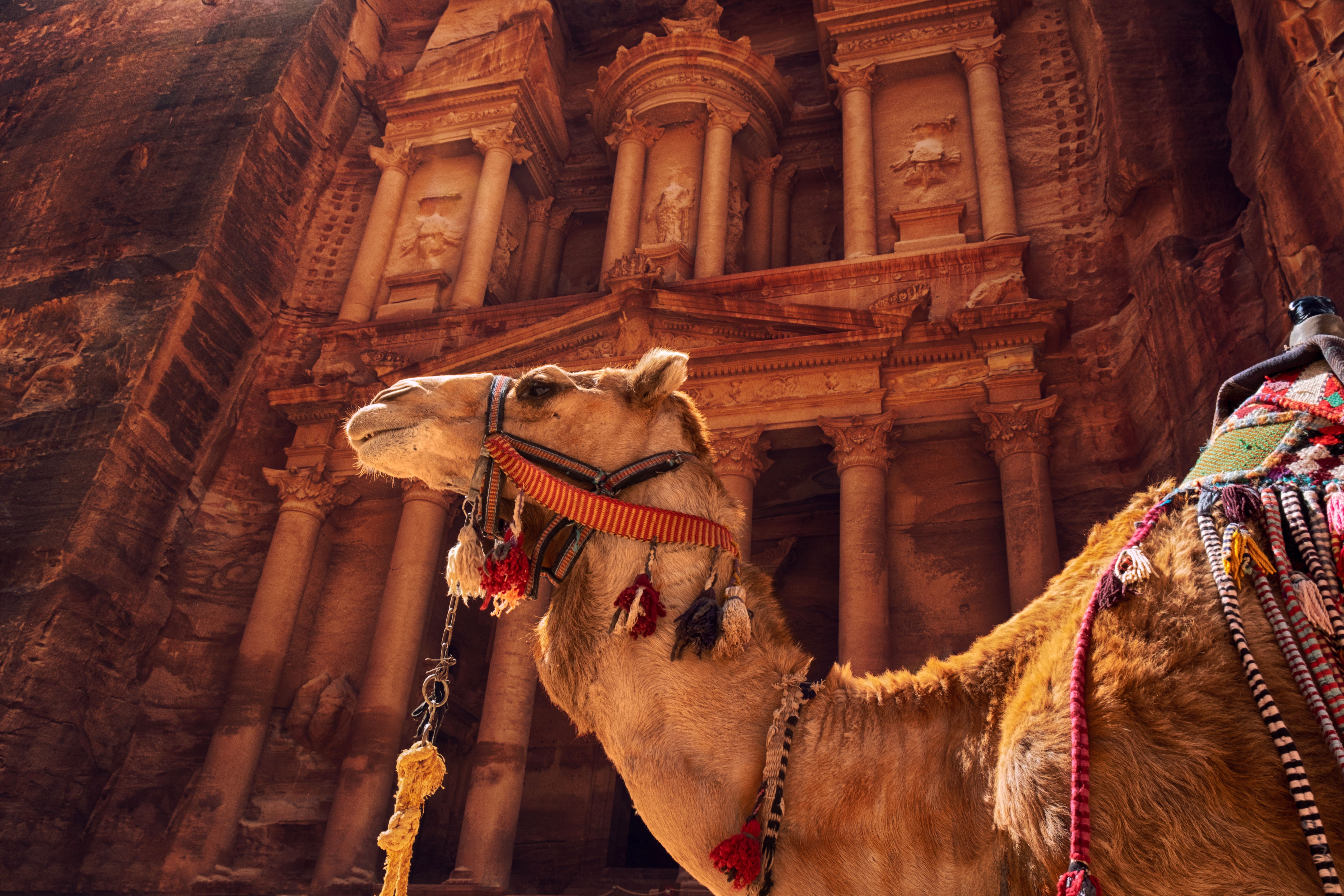Explore all of the Middle East