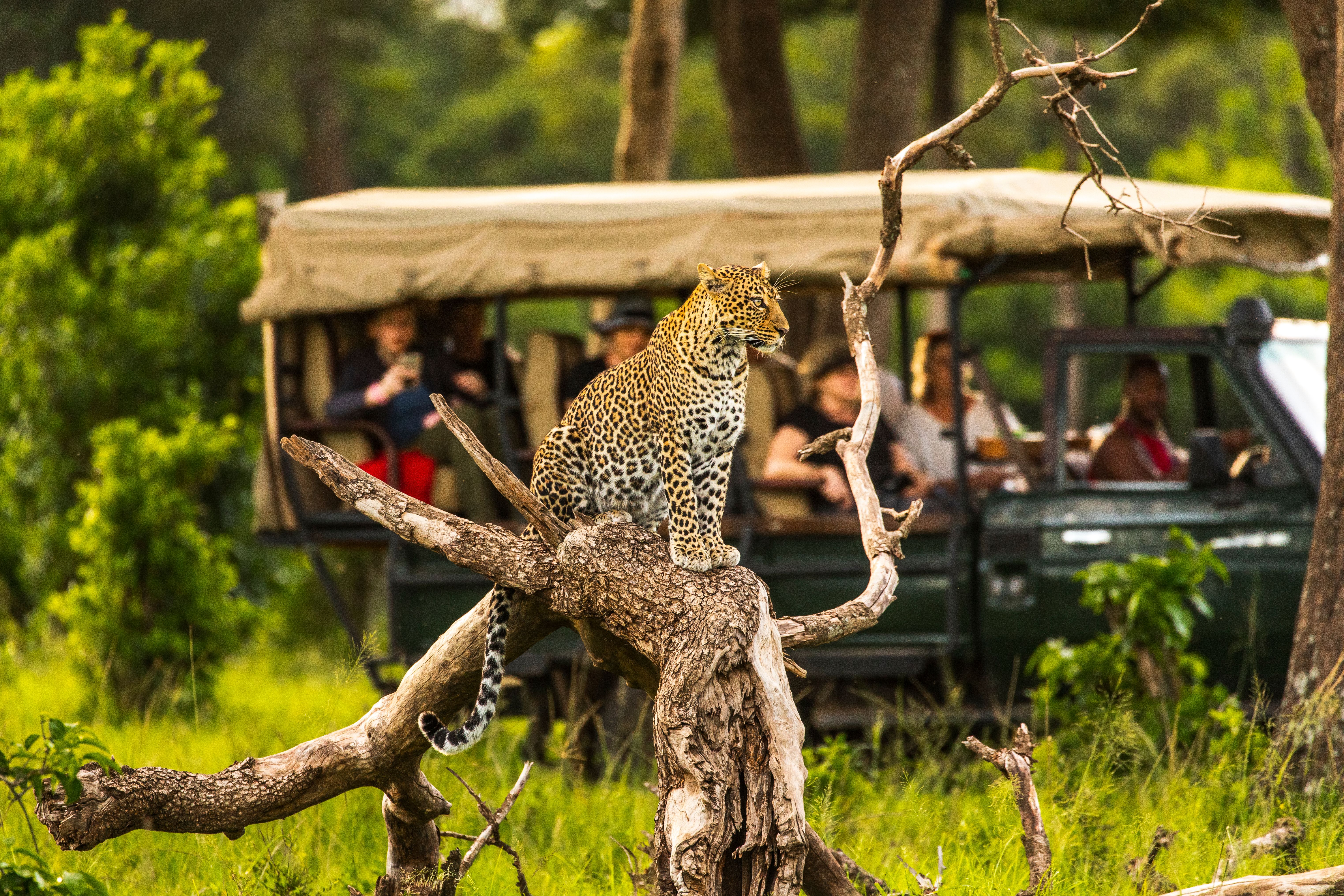 Explore all of Africa