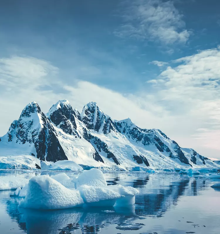 arctic and Antarctica