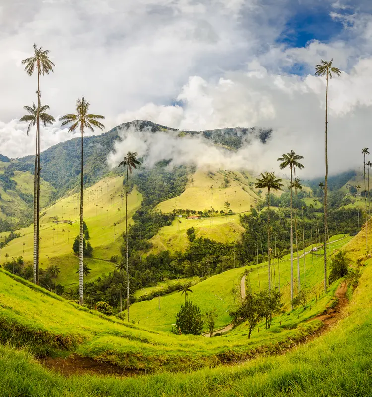 South America
