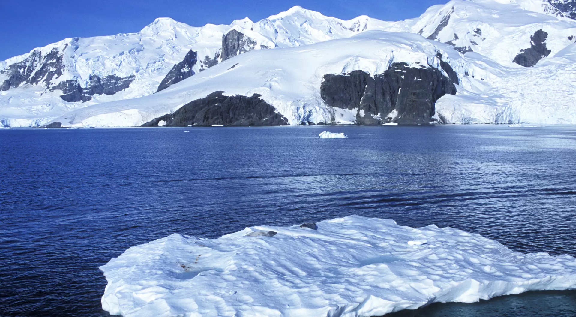 Snow and glacier covered peaks surrounding Antarctica bay