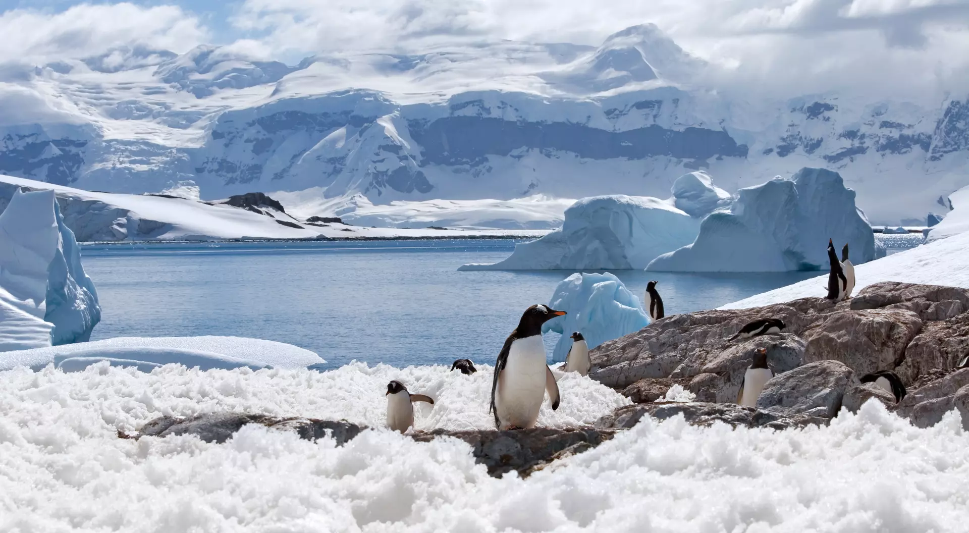 Antarctic peninsula