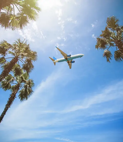 An airplane flies in the sky, viewed from the ground among palm trees