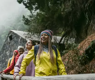 A group of Travellers