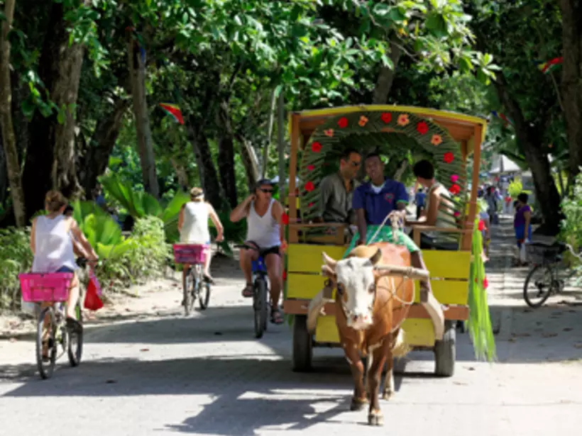 On La Digue Island there are few cars, but bicycles and ox carts are a common form of transport On La Digue Island there are few cars, but bicycles and ox carts are a common form of transport