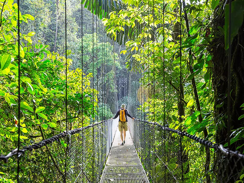 Arenal Hanging Bridges