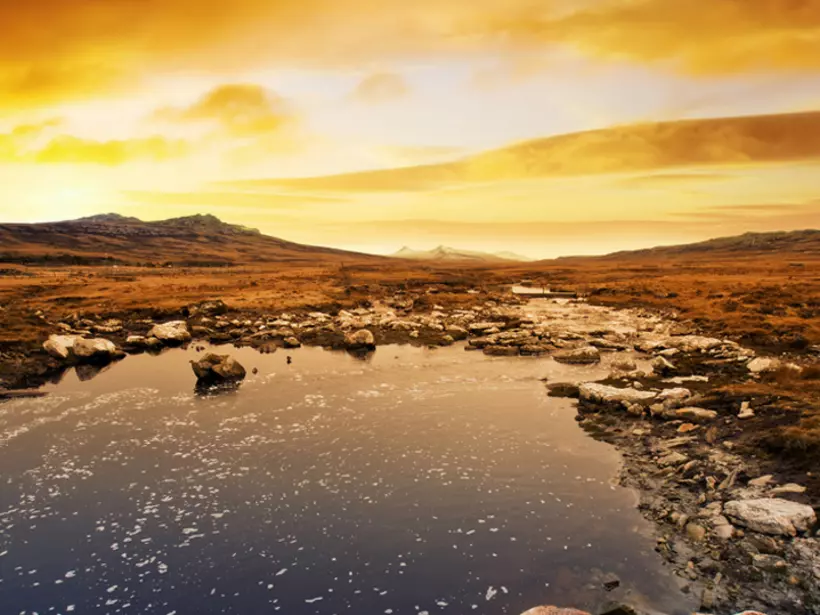 Enjoy the many sights while on your Falkland tour