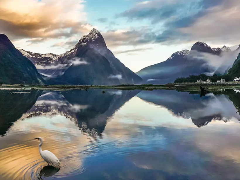 Float through Milford Sound, a deep fjord known for its surrounding mountains, waterfalls, and wildlife
