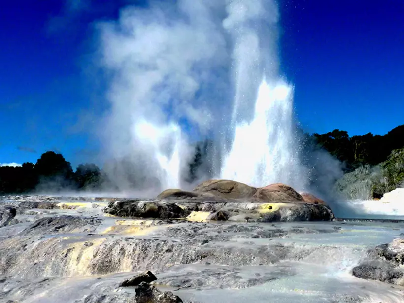 Get cameras ready to capture as the Pohutu Geyser in Rotorua puts on a show