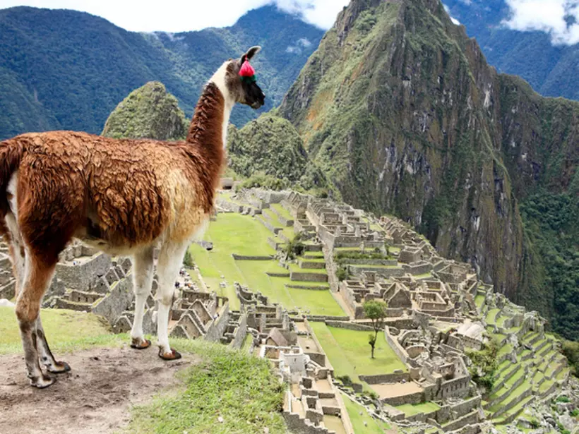 machu picchu trip