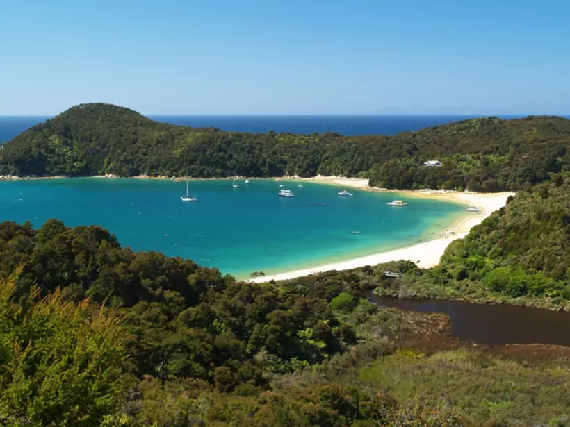 Apple Tree bay