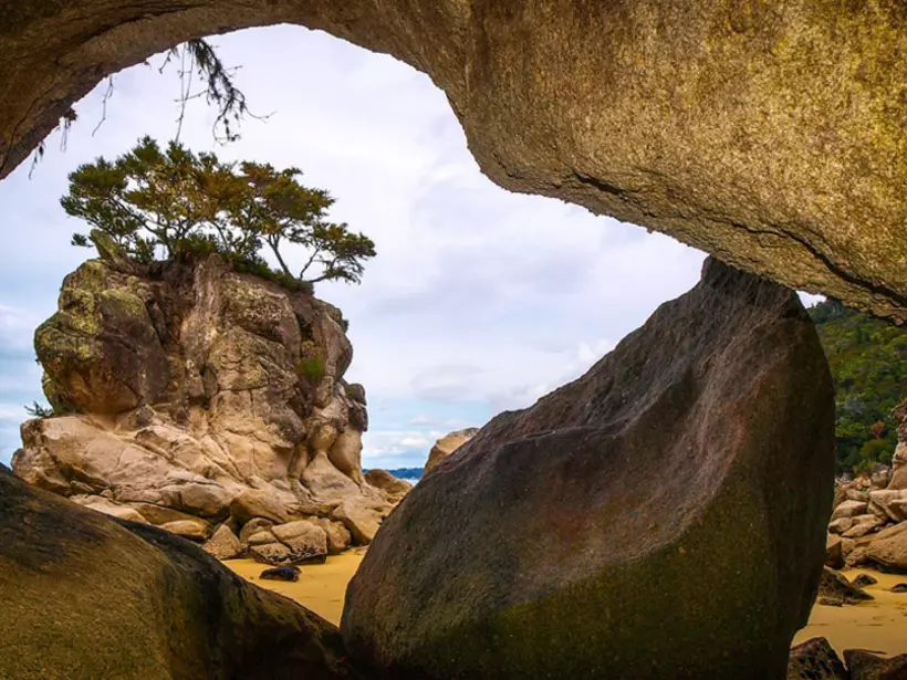 Rock shore in Abel Tasman National Park