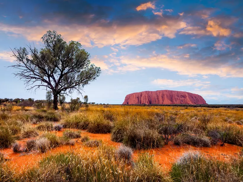 The outback with Uluru/Ayers Rock rising over the red earth and sparse vegetation.