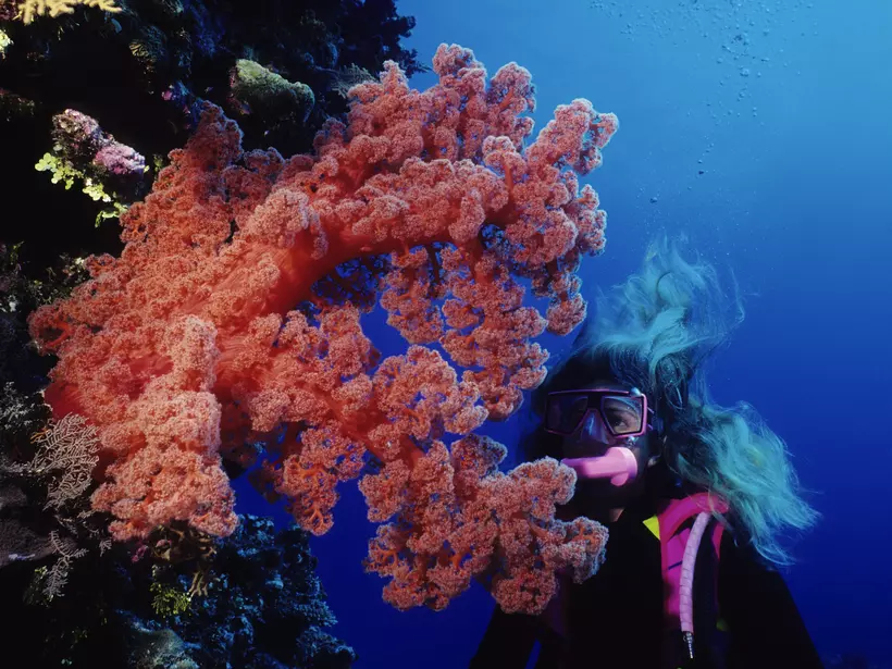 Woman Diver looking at red soft coral.