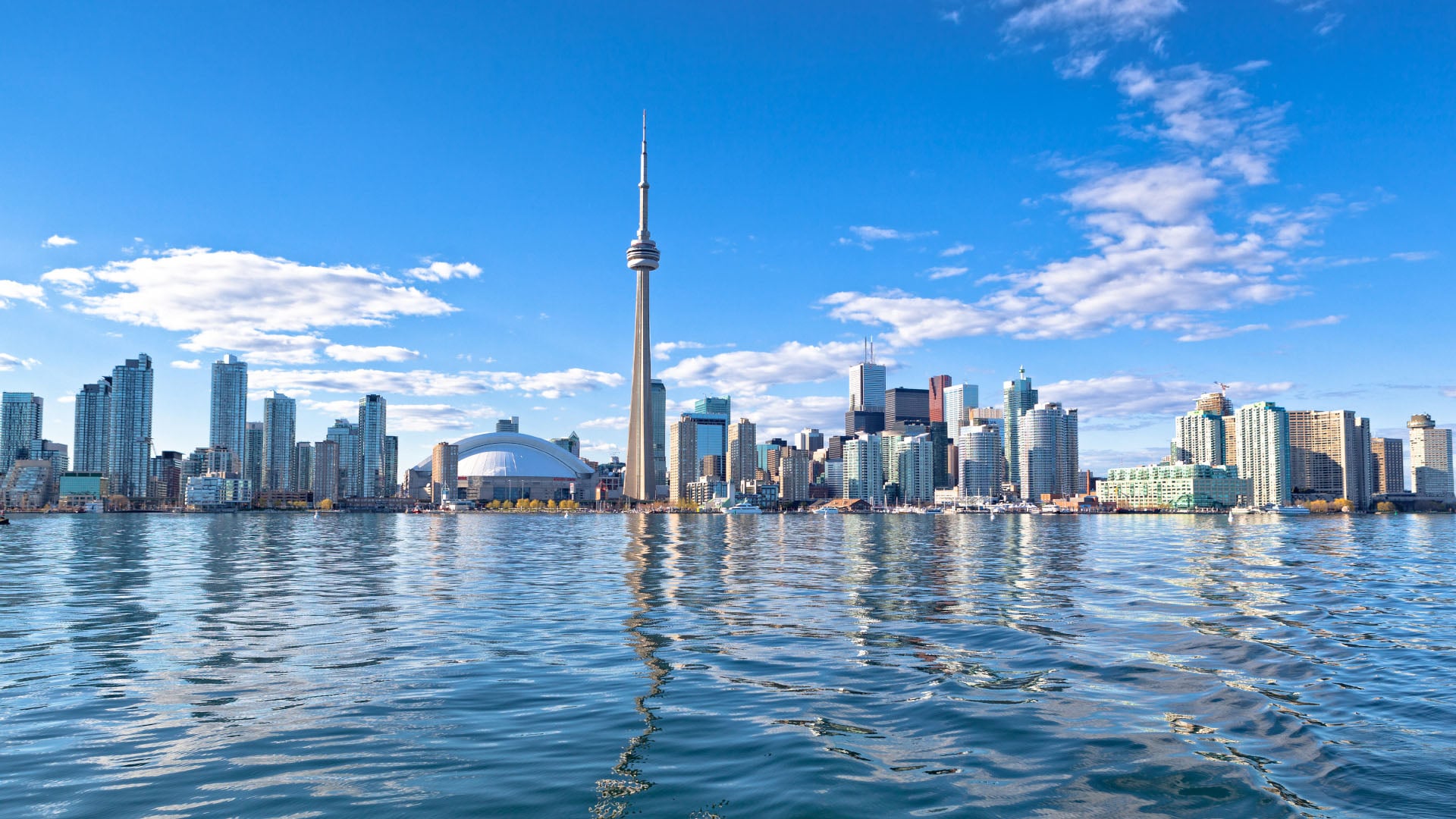 View of Toronto's famous skyline in Canada with the CN Tower next to Lake Ontario.