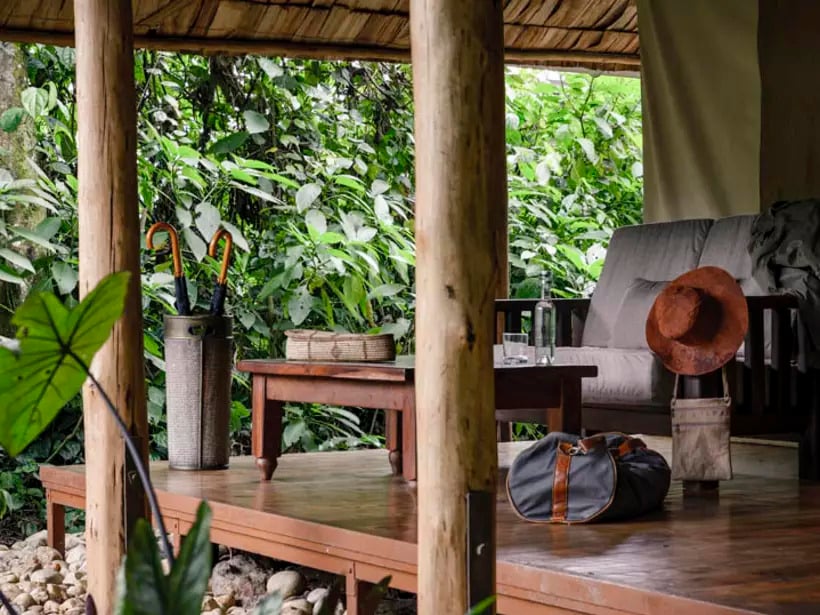 A cozy porch with wooden furniture, a travel bag, umbrellas, and a hat overlooks lush tropical greenery.