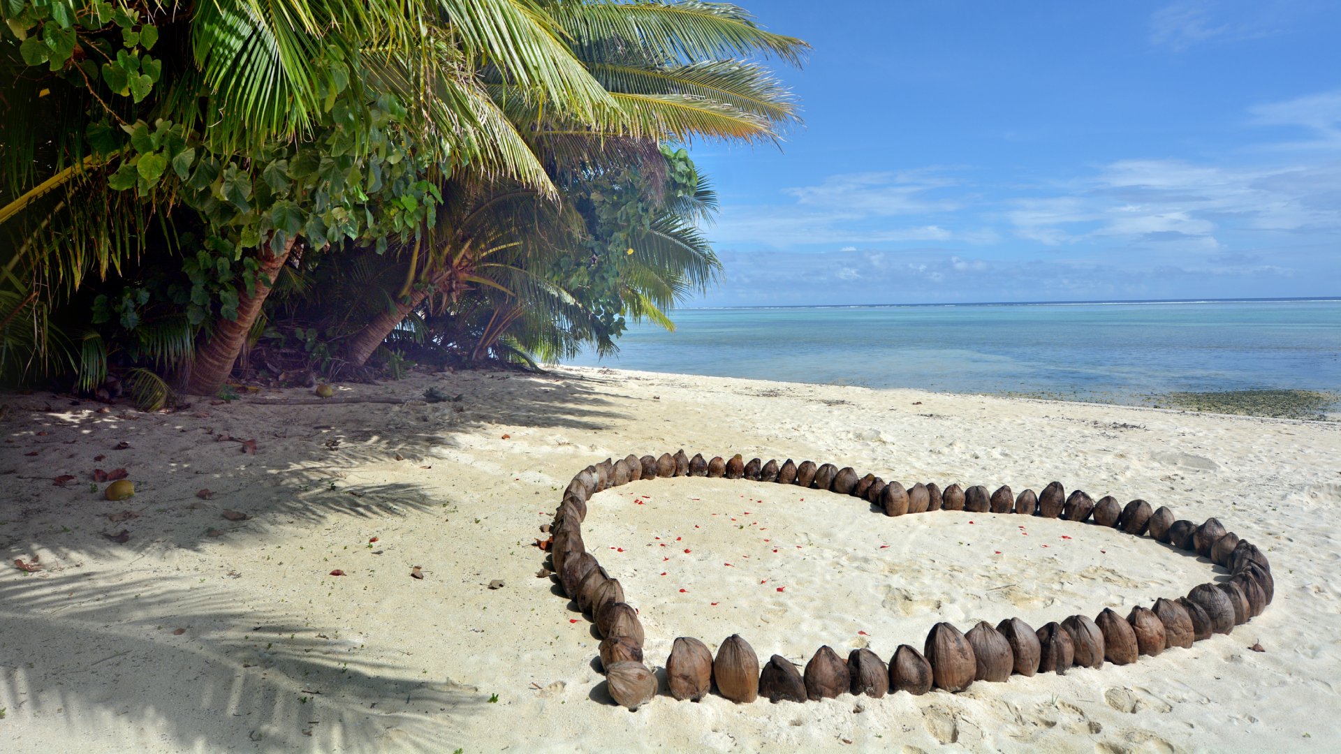 A romantic heart made out of coconuts on the beach in Rarotonga, Cook Islands.