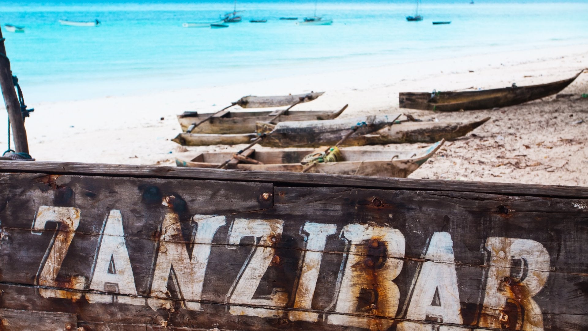 Abandoned white sand beach in the south of the island of Zanzibar