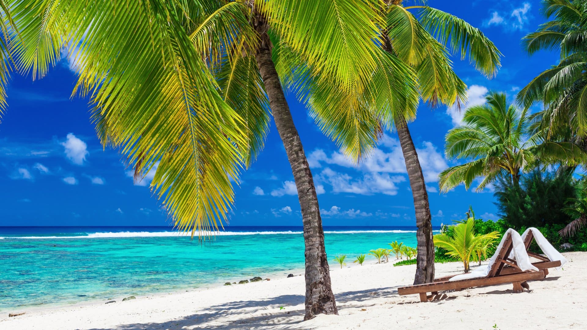 Beach beds under coconut palm trees with an ocean view, Rarotonga, Cook Islands