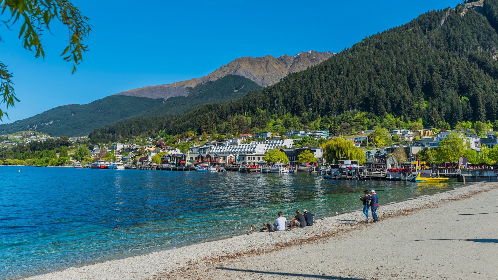 Beach on lake Wakatipu, Queenstown, New Zealand