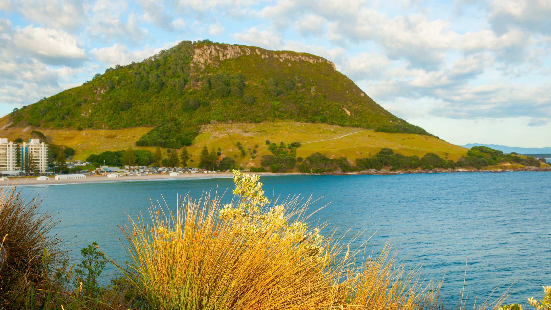 Beyond golden toned reeds bright in sunrise in Mount Maunganui stands tall across Main Beach from rocky Moturiki Island with clouds making pattern in sky.