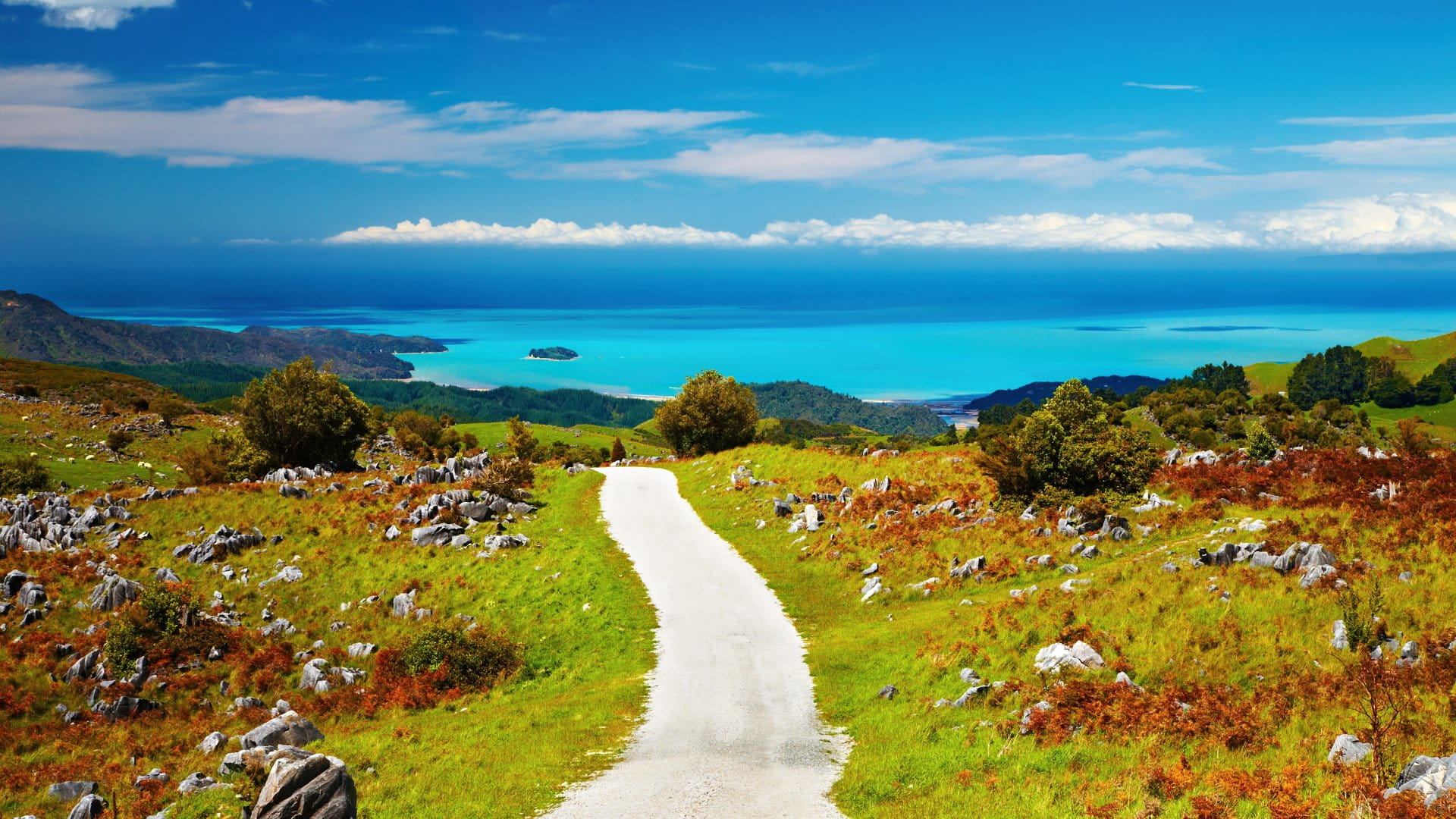Coastal View, Abel Tasman National Park, New Zealand