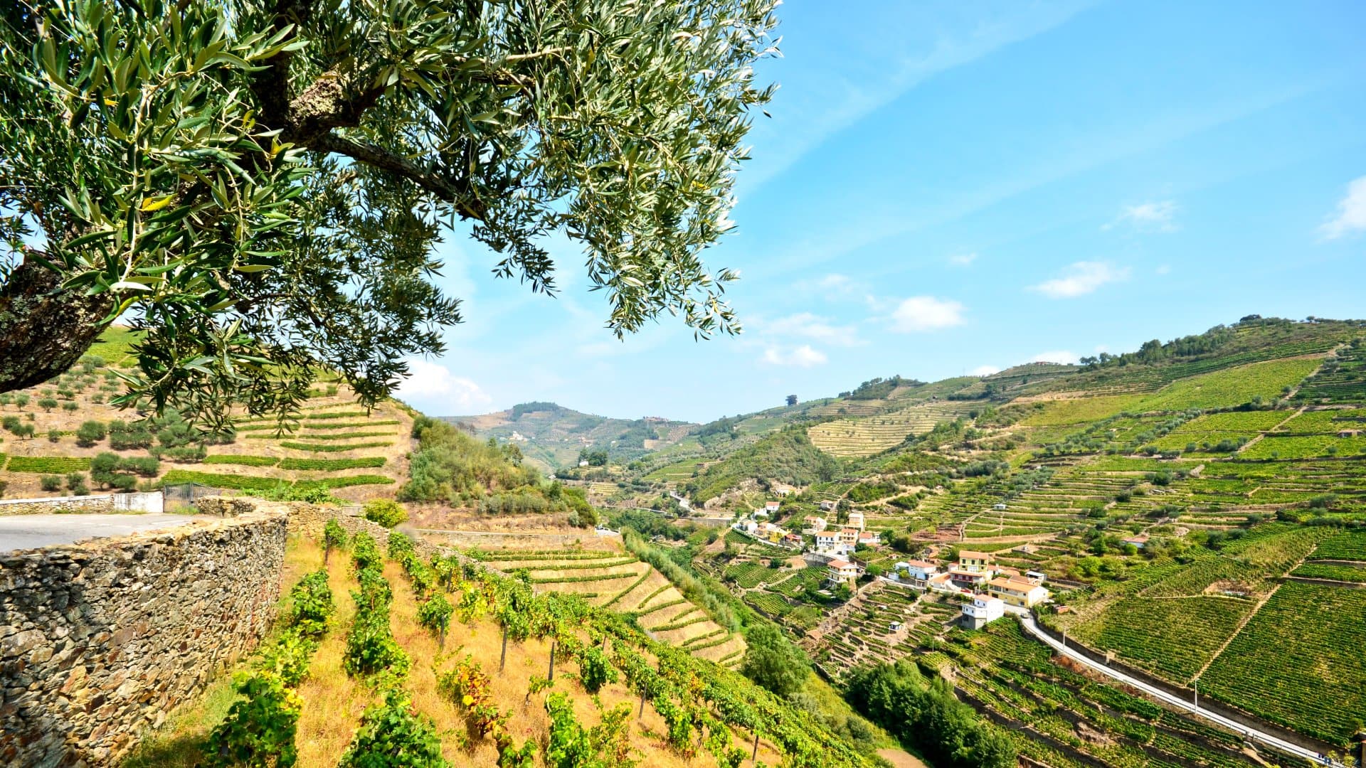 Douro Valley Vineyards and small village near Peso da Regua, Portugal