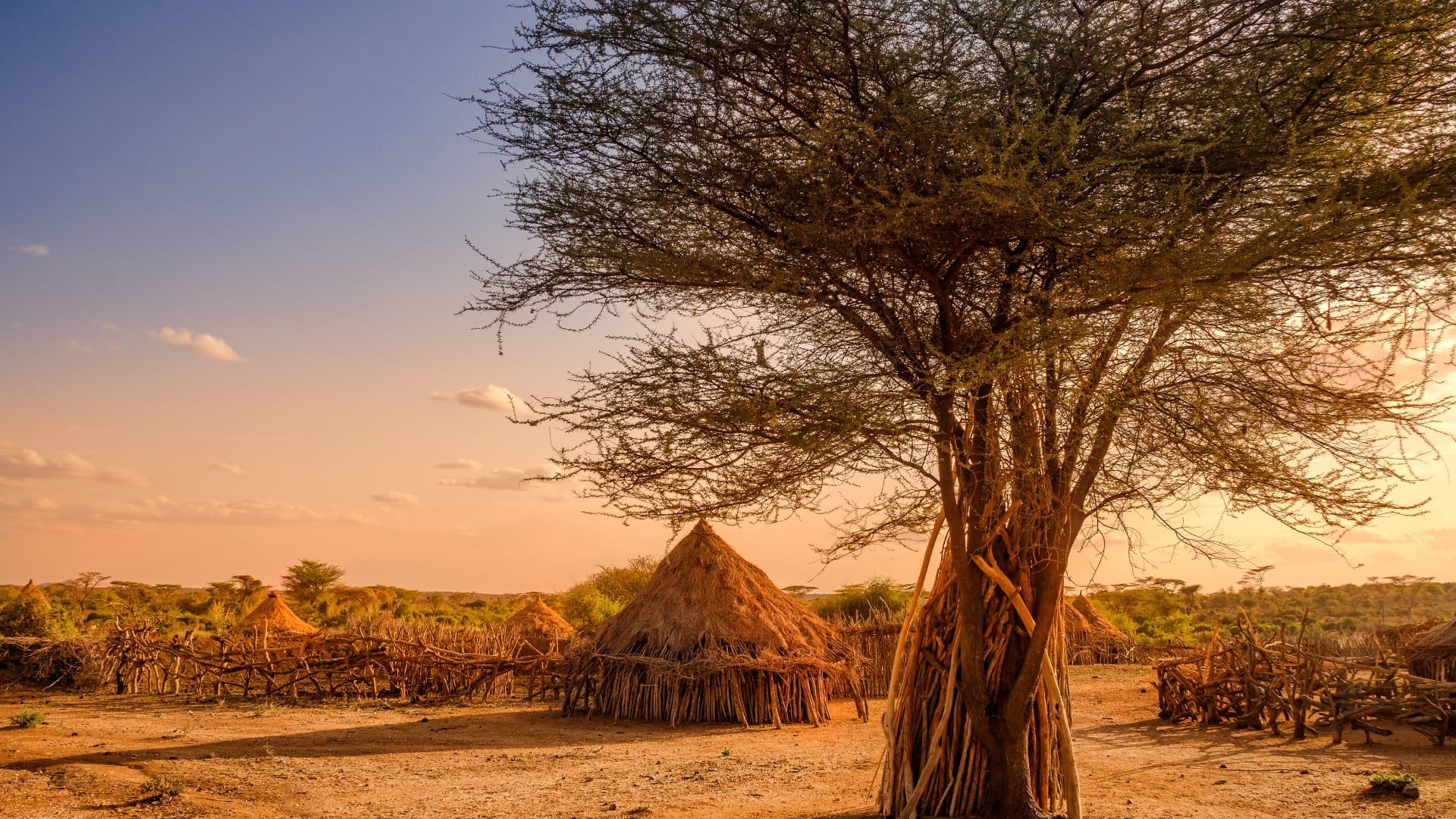 Huts in a Hamer Village at Sunset, Ethiopia