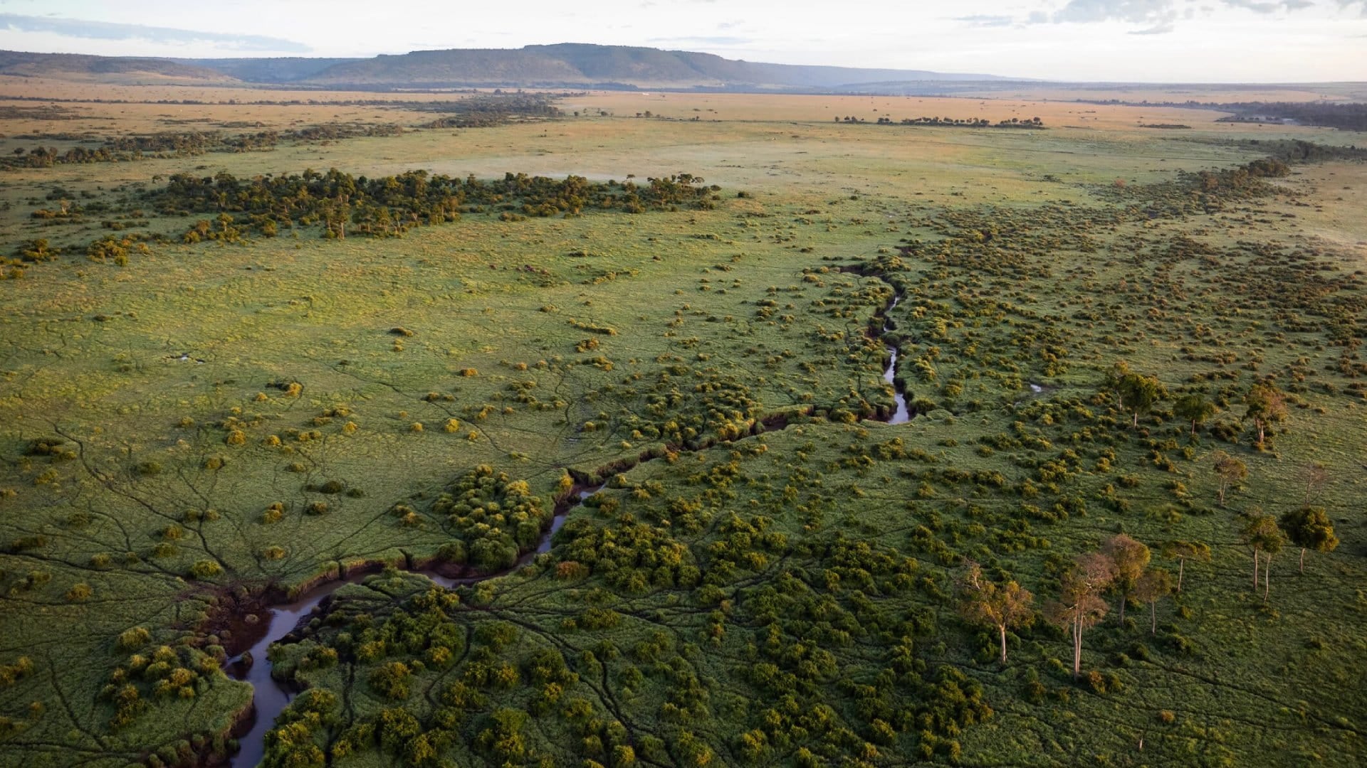 Maasai Mara Aerial View.