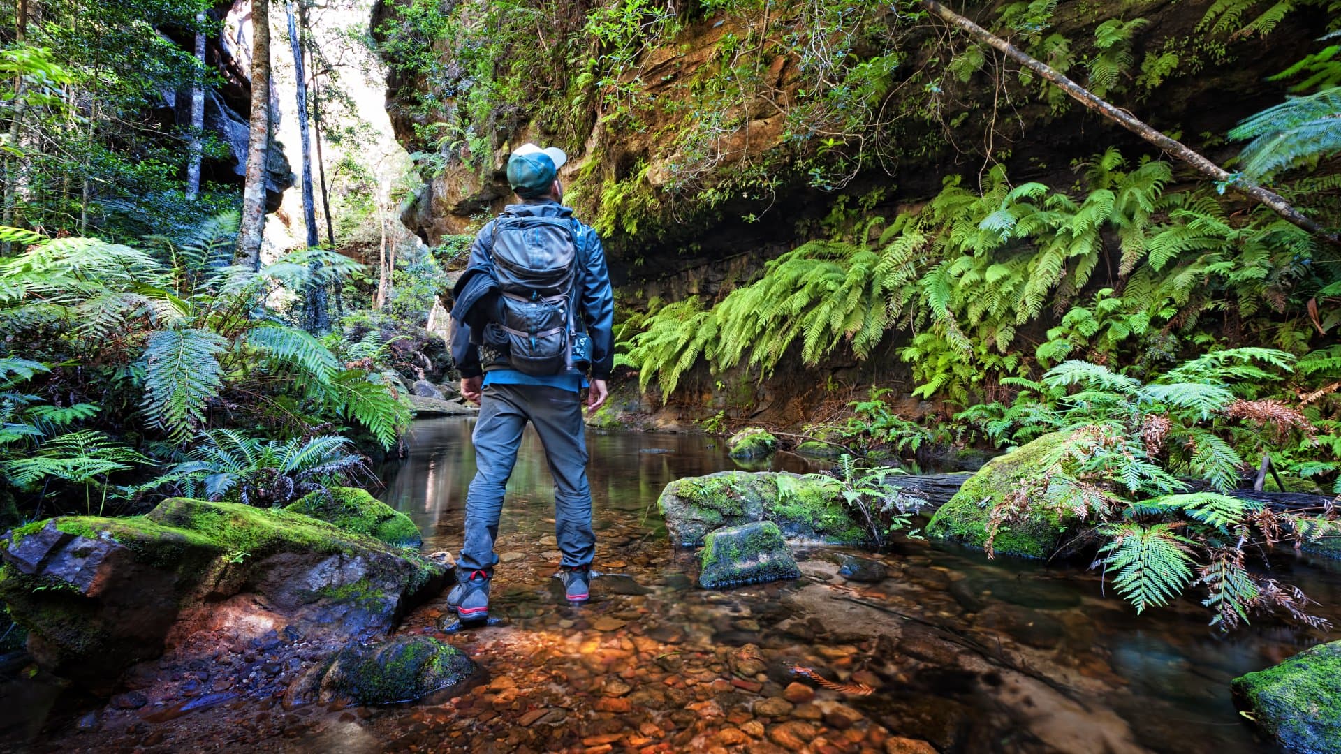 Man standing at Grand Canyon track in the Blue Mountains, Sydney, NSW, Australia