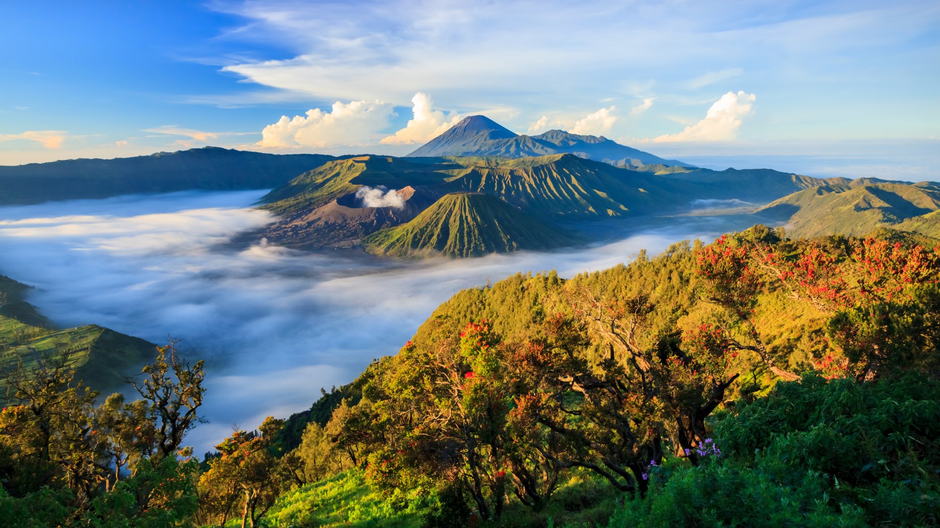 Indonesia Mount Bromo Volcano at Sunrise Java Indonesia