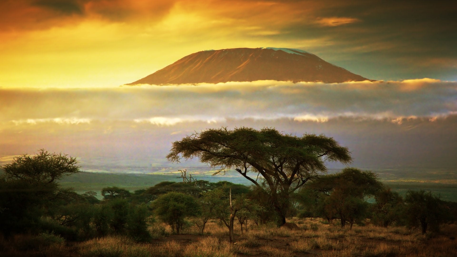 Mount Kilimanjaro and clouds line at sunset, view from savanna landscape in Amboseli, Kenya, Africa
