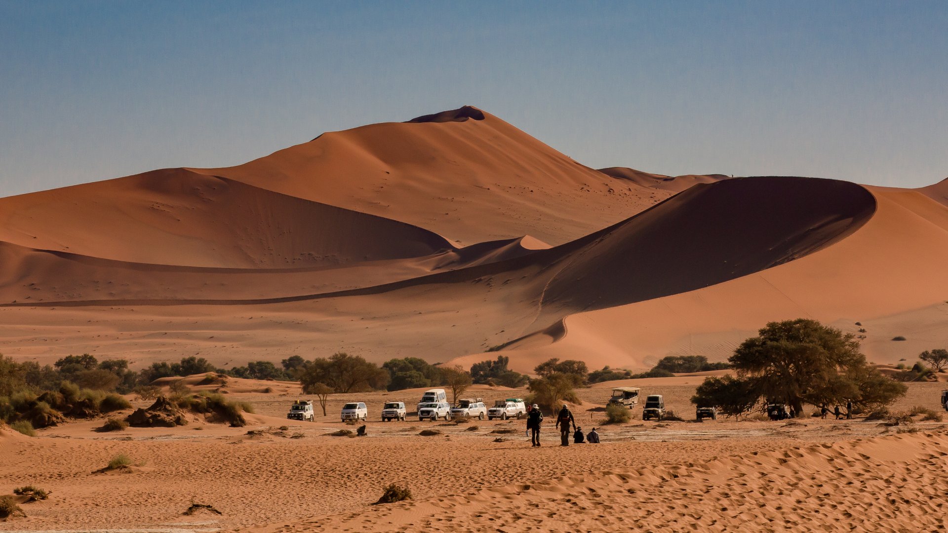 Namib desert, red dune Dune 45 and Big Mama at Sossusvlei, Namibia