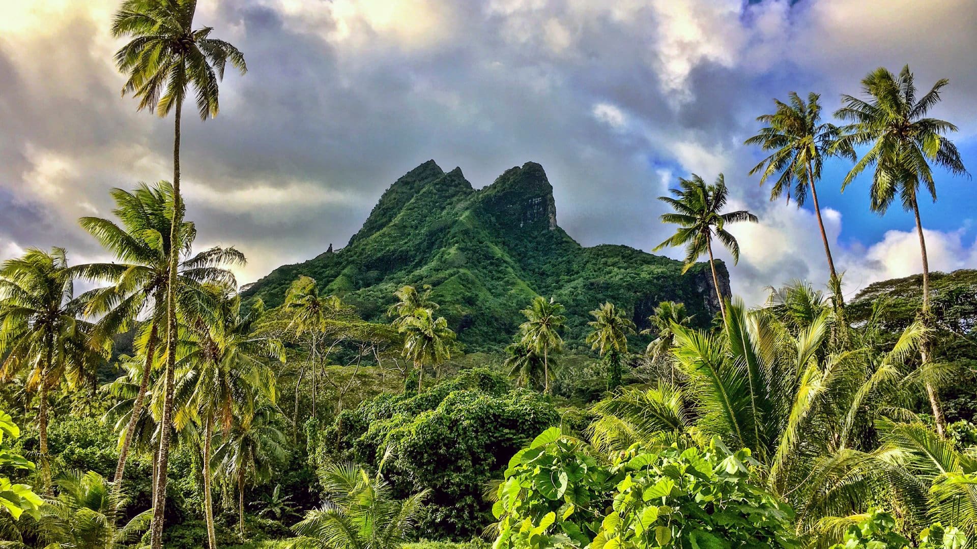 Tahiti, French Polynesia On a drive around Raiatea Island we came across this amazing landscape. Tall coconut palms and an ancient extinct volcano. French Polynesia.