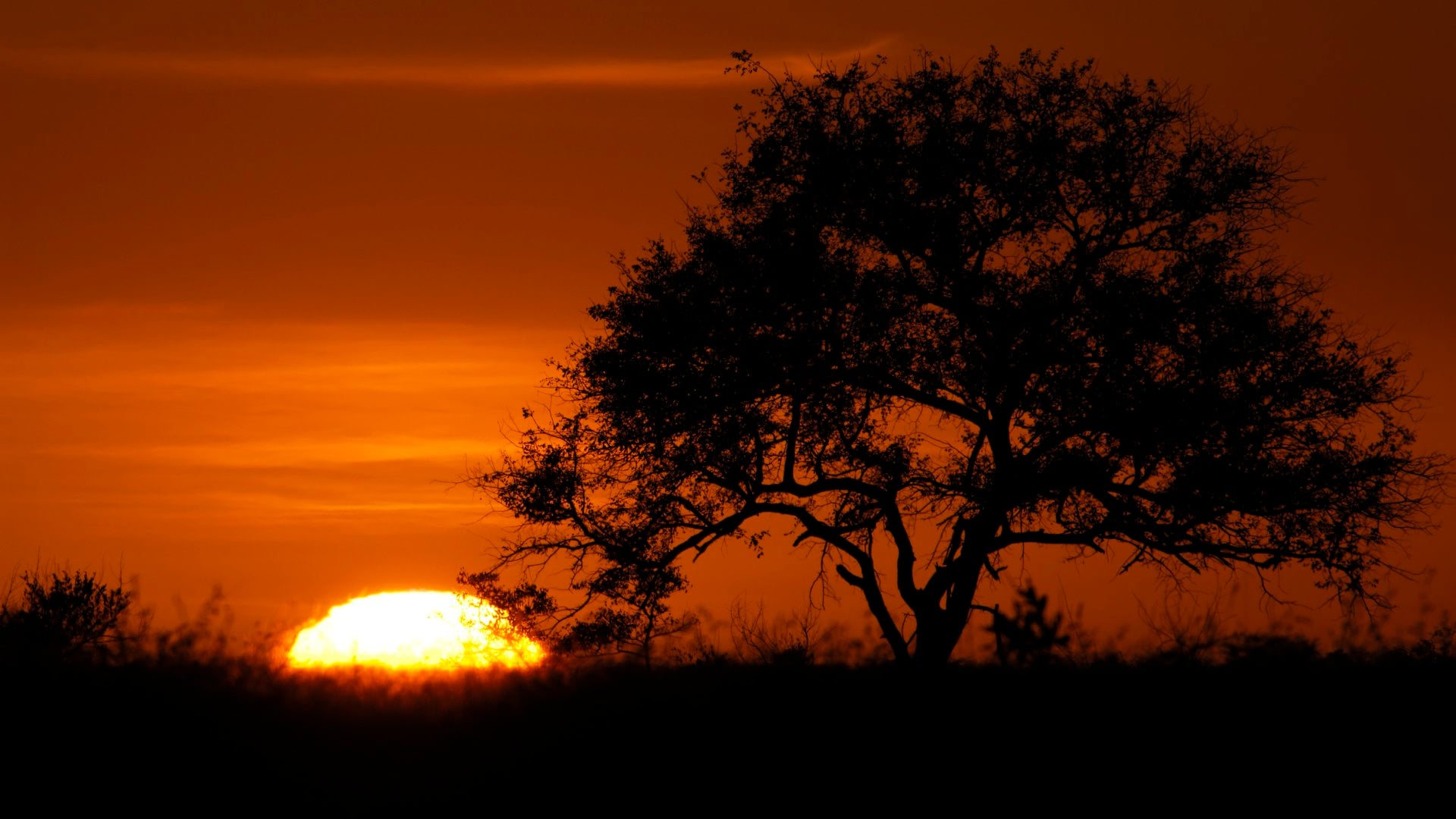 Sabi Sabi Game Reserve - Sabi Sands - Kruger National Park - South Africa