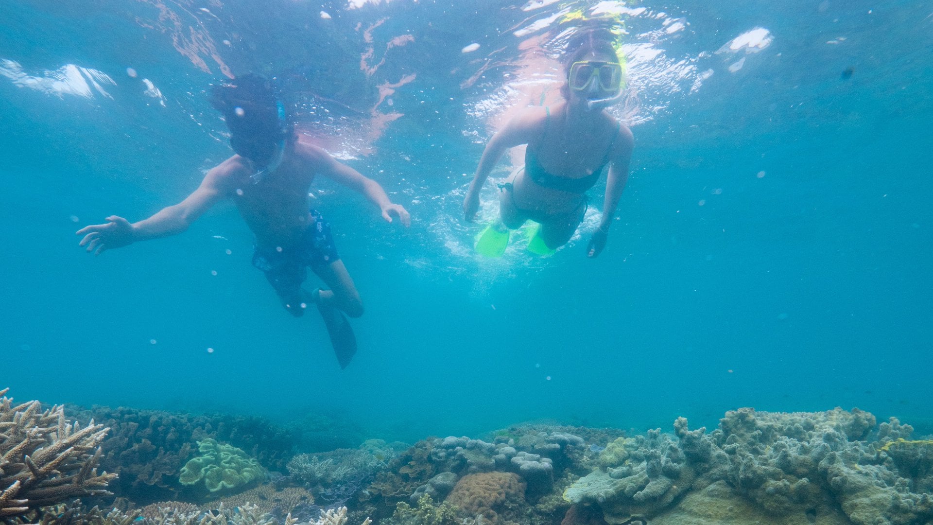 Two swimmers snorkel above a coral reef on Australia's Great Barrier Reef.