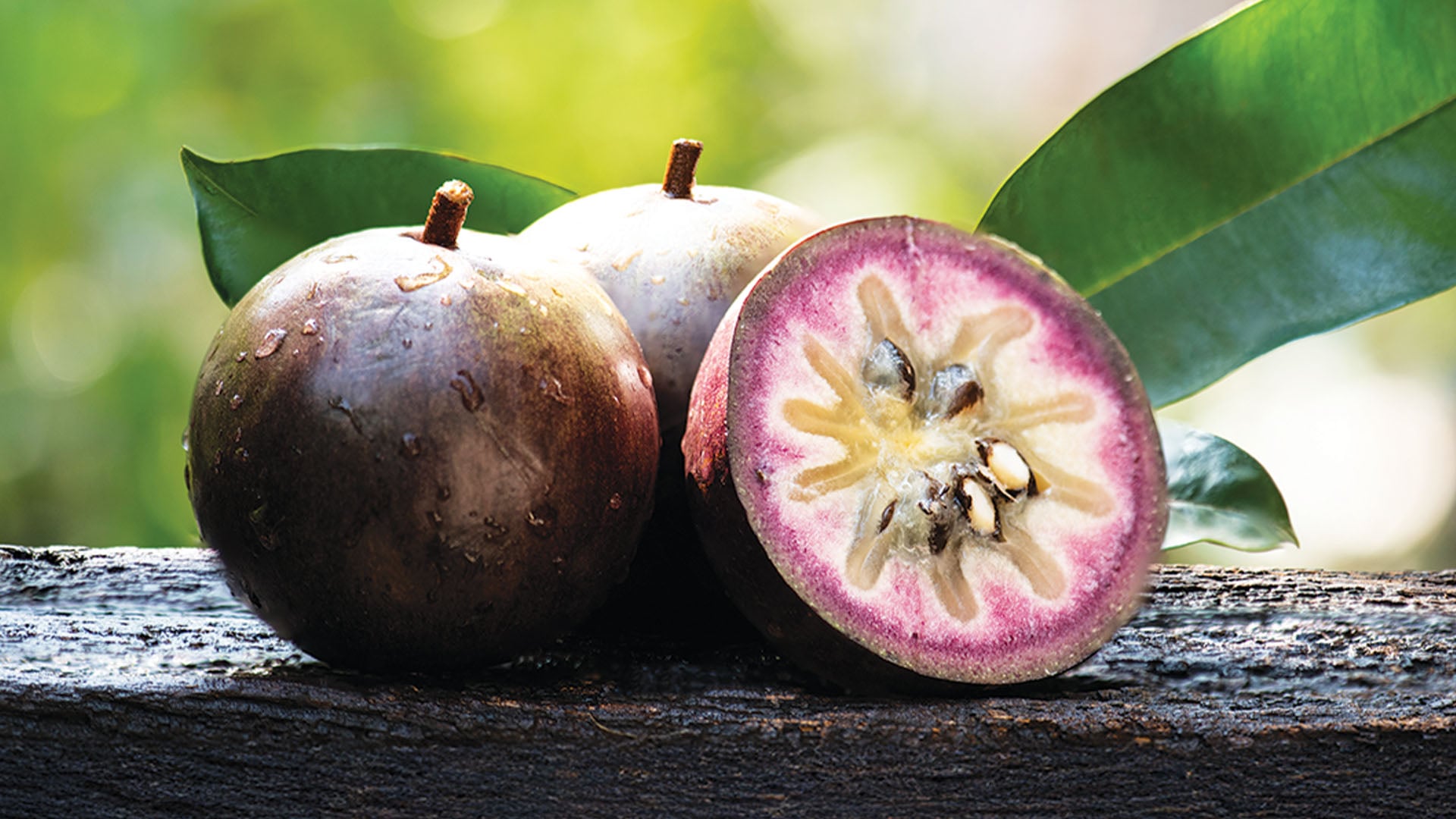 A star apple or cainito fruit in Hawai'i