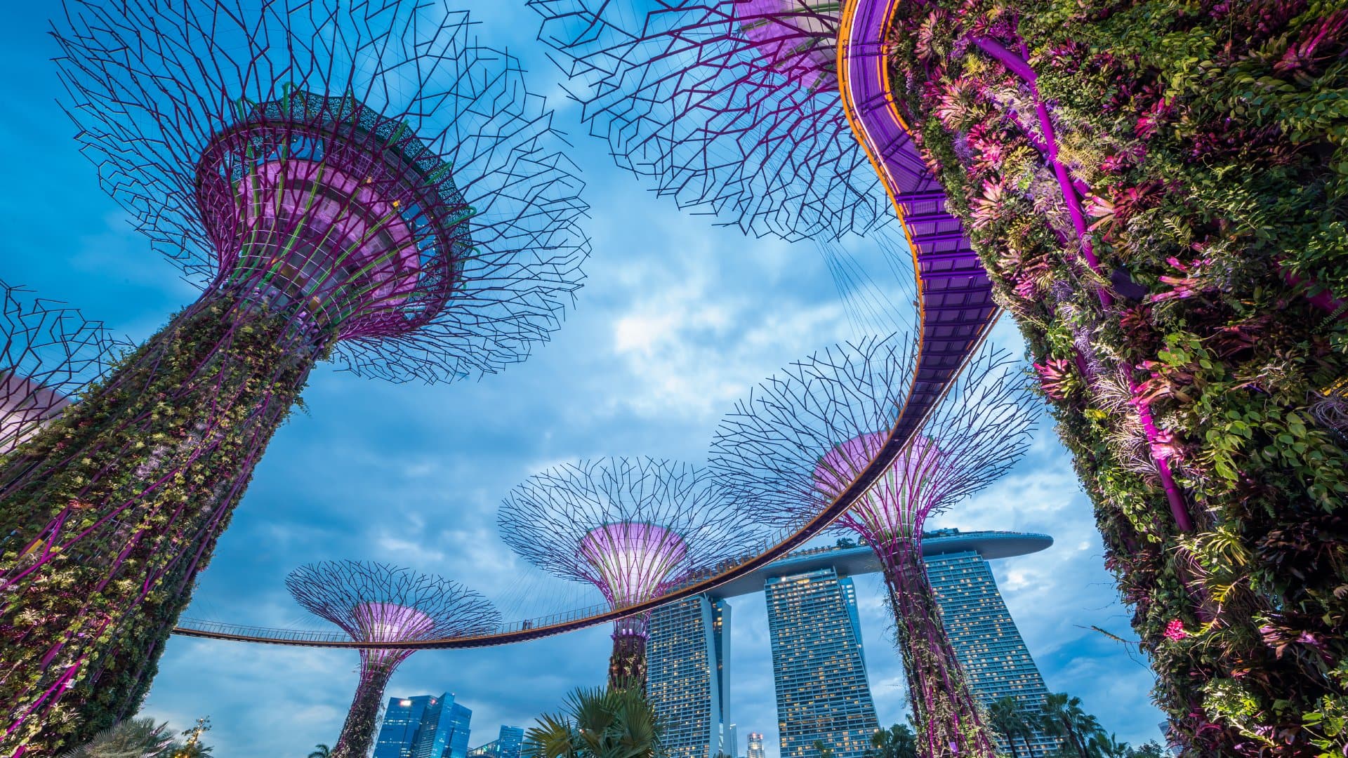 Supertrees at Garden by the Bay, Singapore