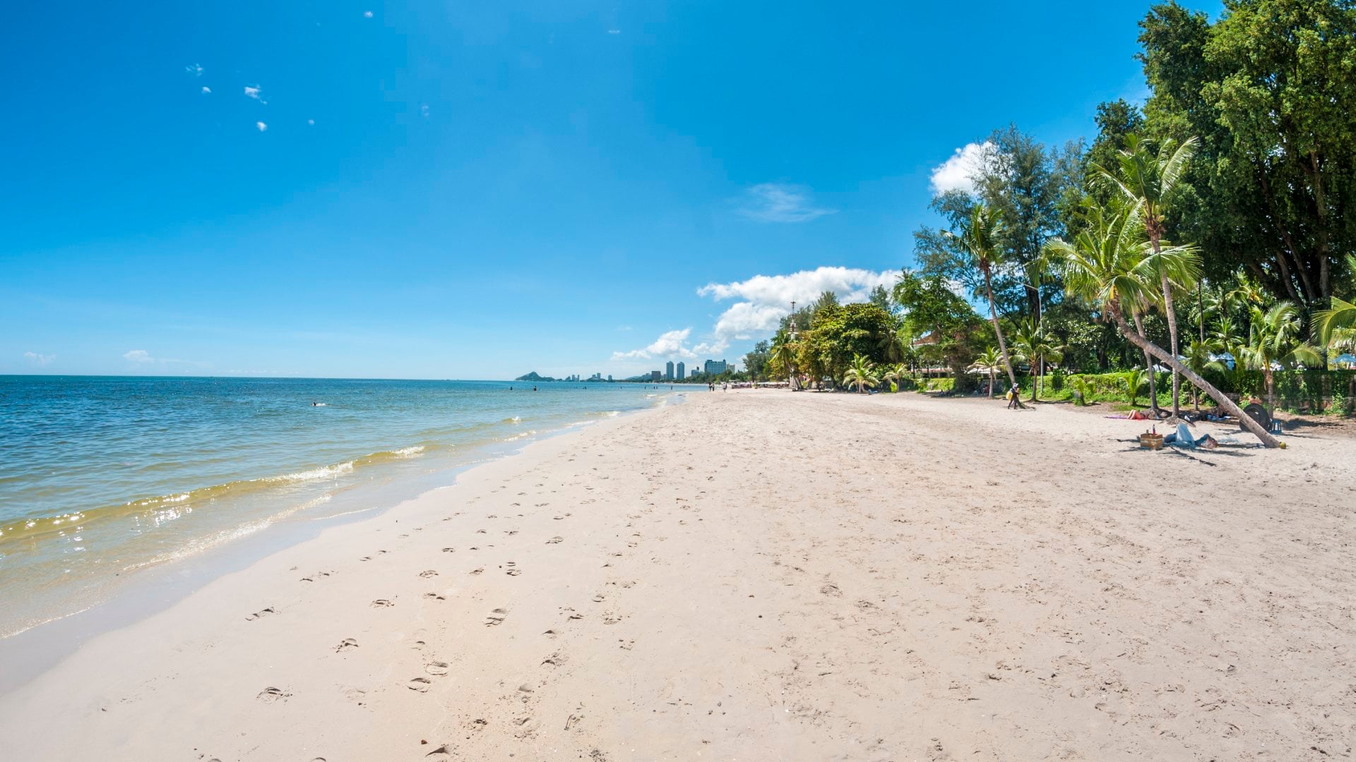 Tropical Beach With Palm Trees