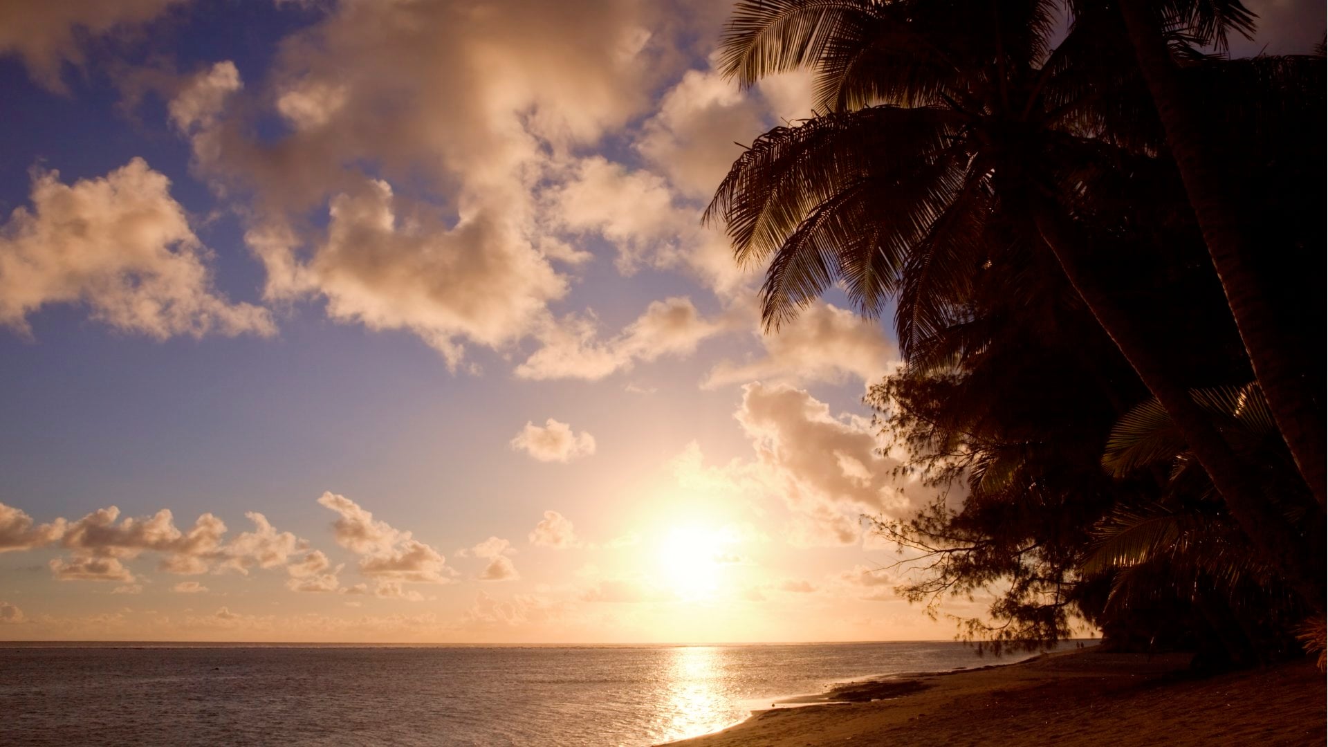 Tropical Beach with Coco Palms at Sunset - Rarotonga, Cook Islands, Polynesia