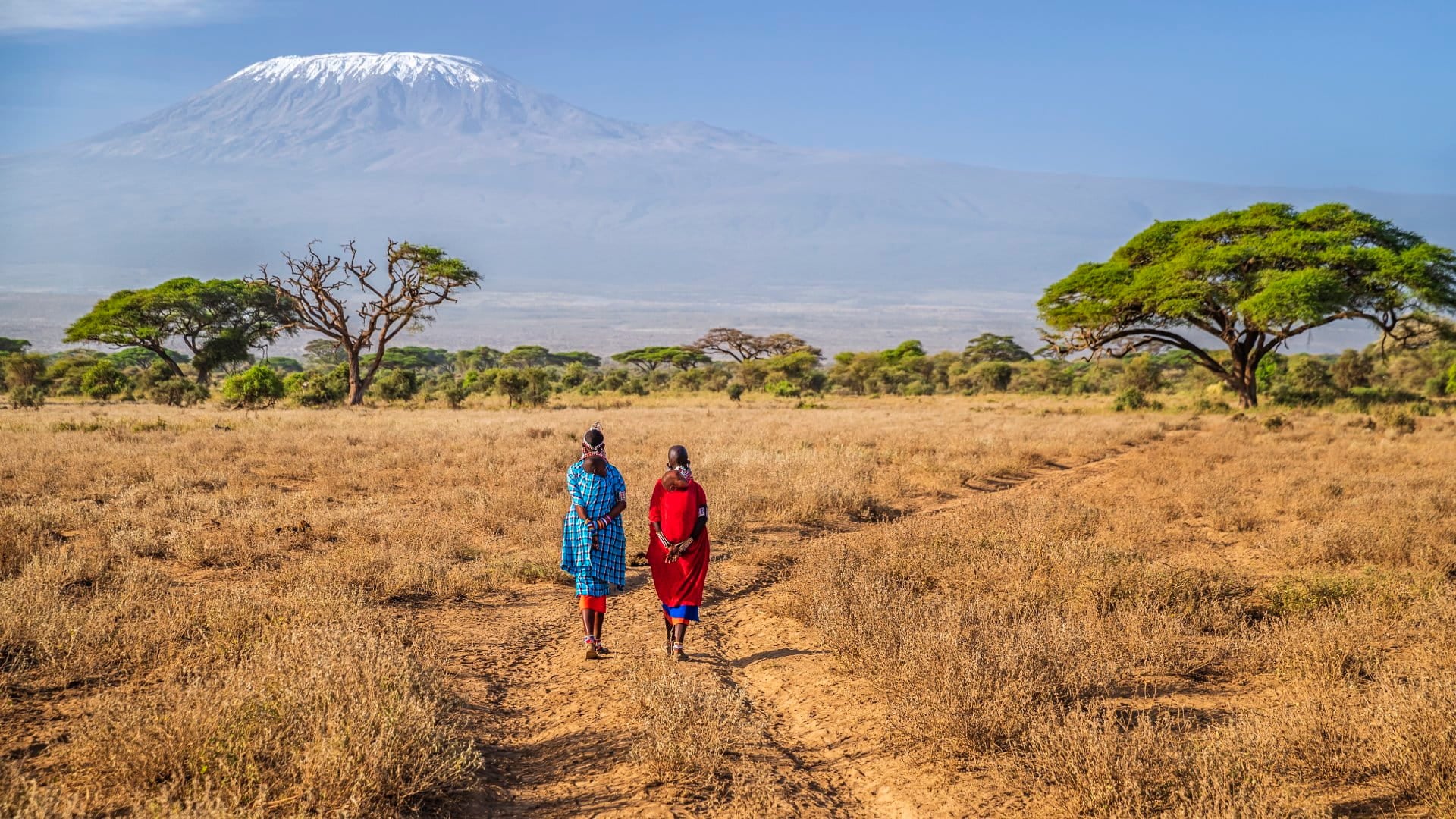 Two African women from Maasai tribe crossing savannah with offspring on their back, Mount Kilimanjaro on the background, central Kenya, Africa. Maasai tribe inhabiting southern Kenya and northern Tanzania, and they are related to the Samburu.